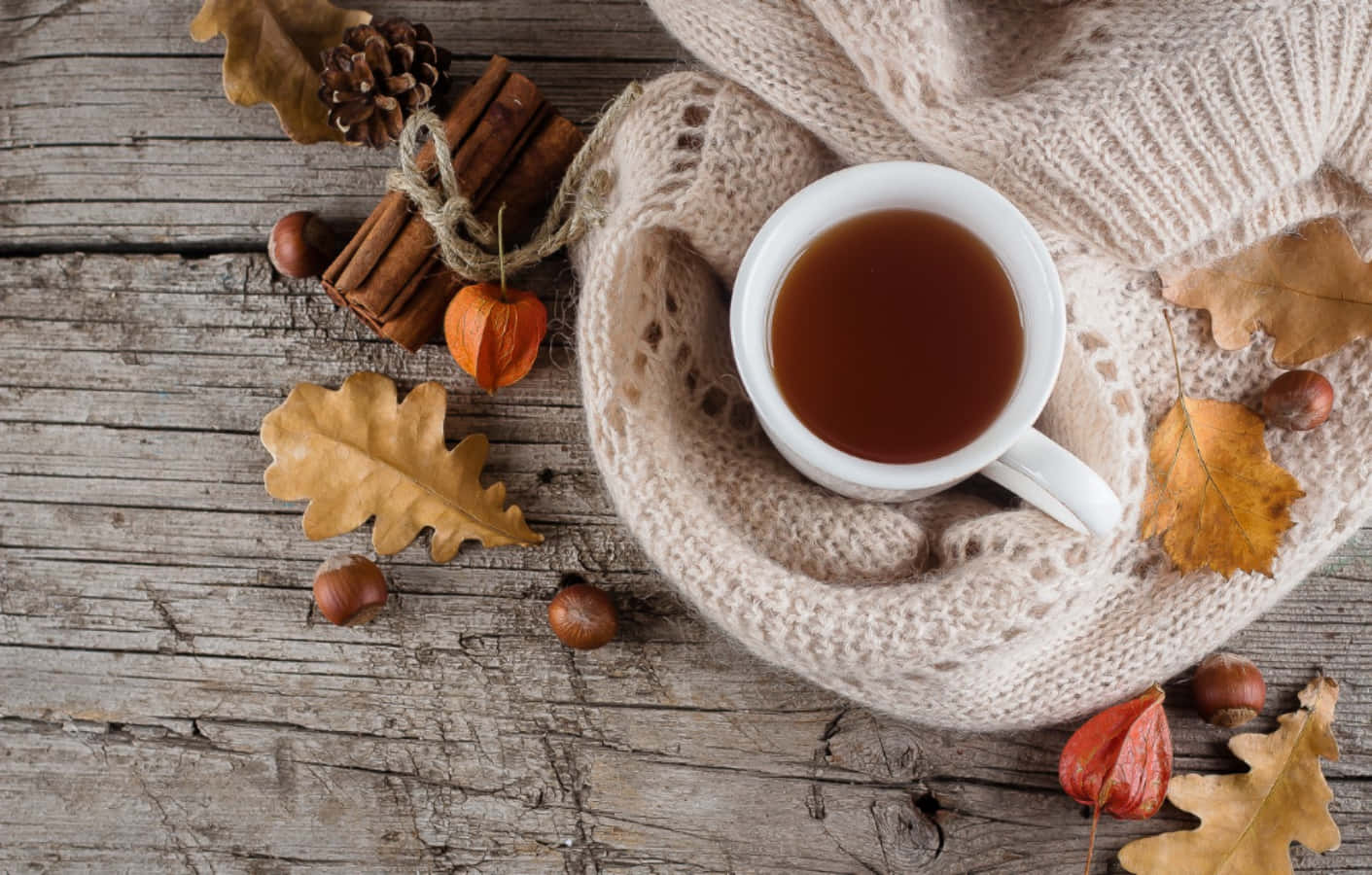 cozy fall desktop, white mug, knitted scarf, HD Desktop Wallpaper