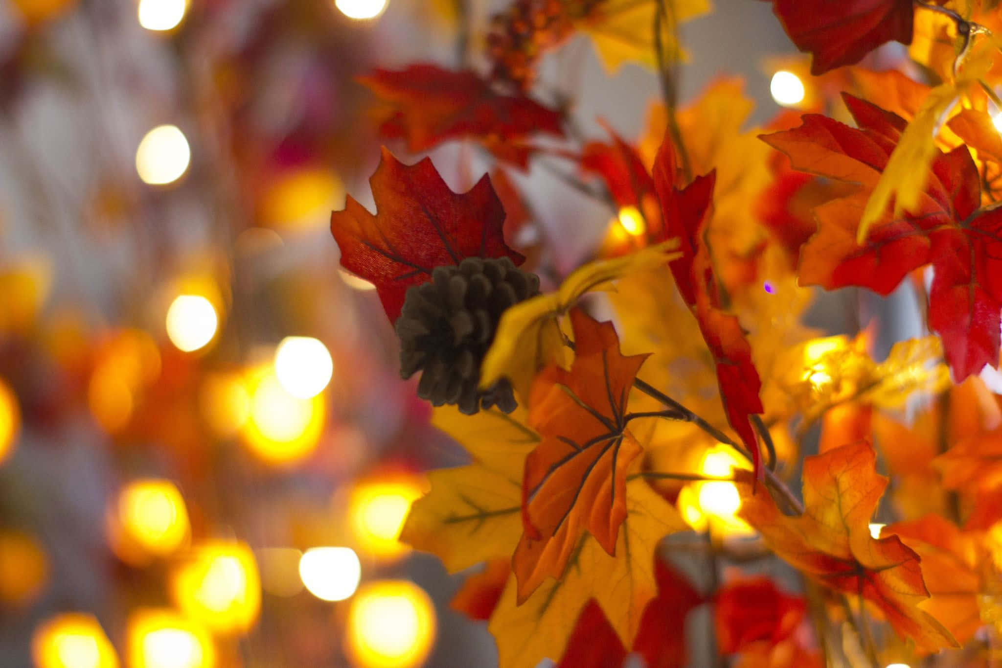 Cozy Fall Desktop, autumn leaves, pinecone, Full HD Desktop Wallpaper