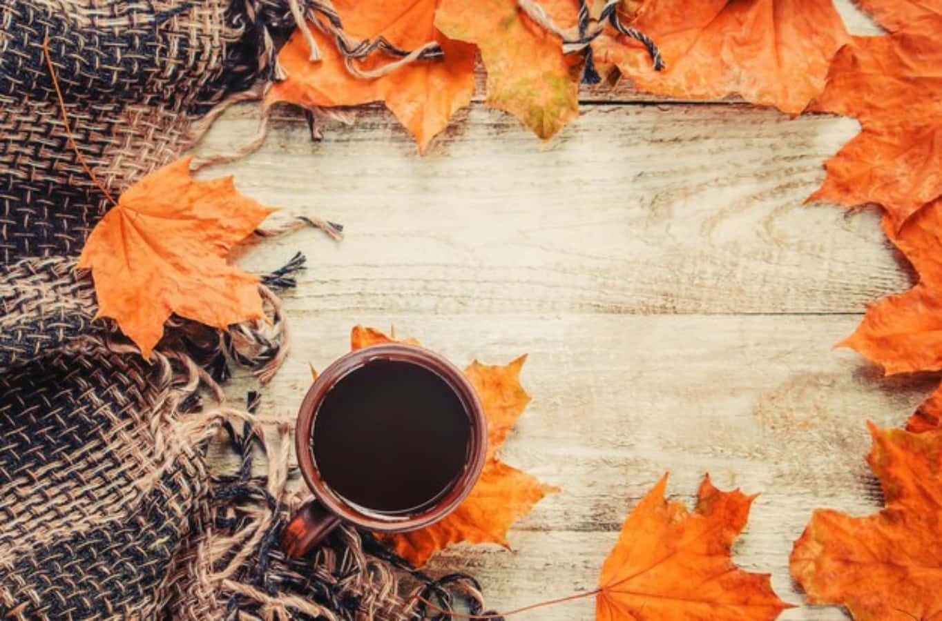 cozy fall desktop, maple leaves, black coffee, HD Desktop Wallpaper