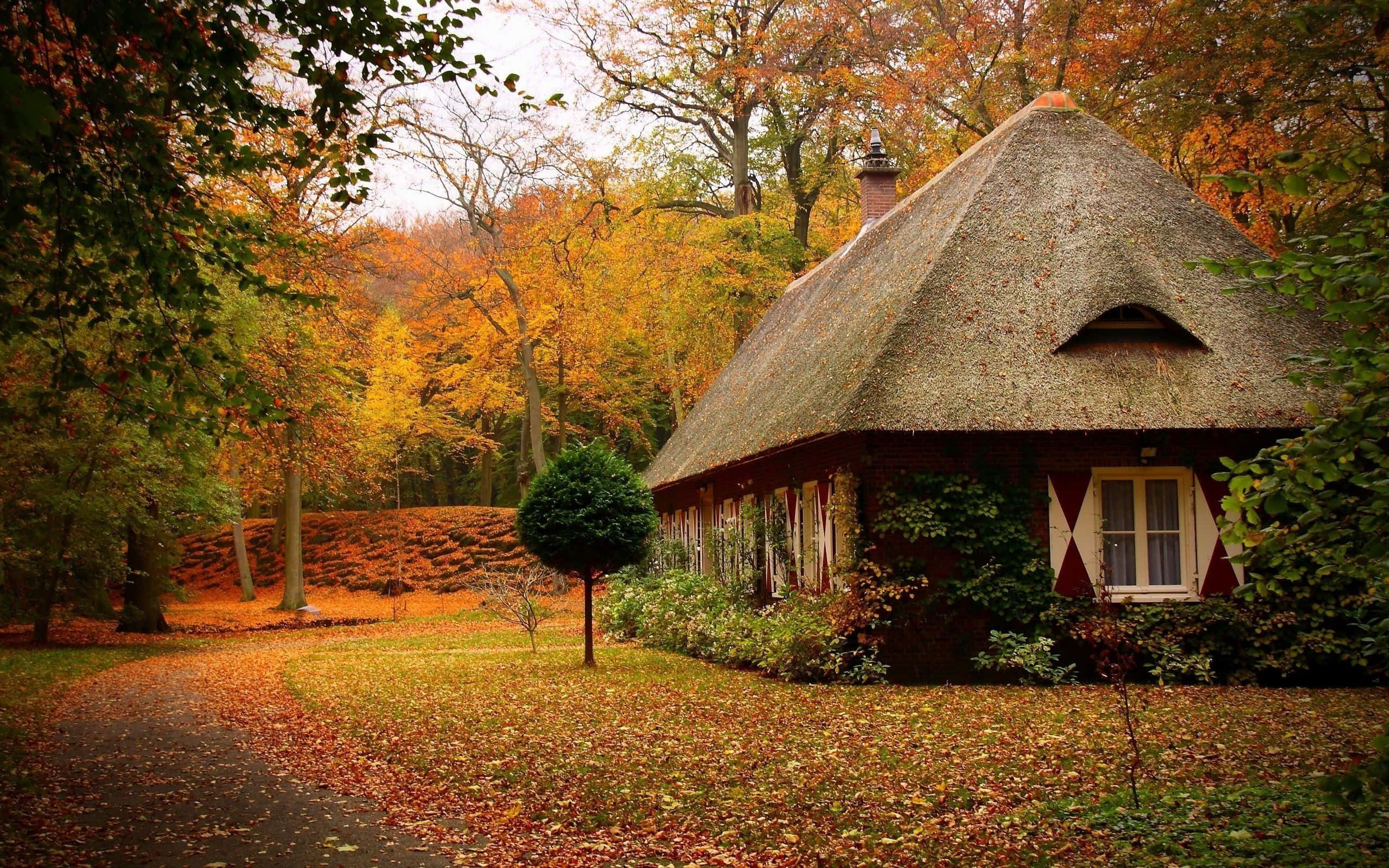 thatched-roof cottage, autumn forest, golden leaves, 2K Desktop Wallpaper