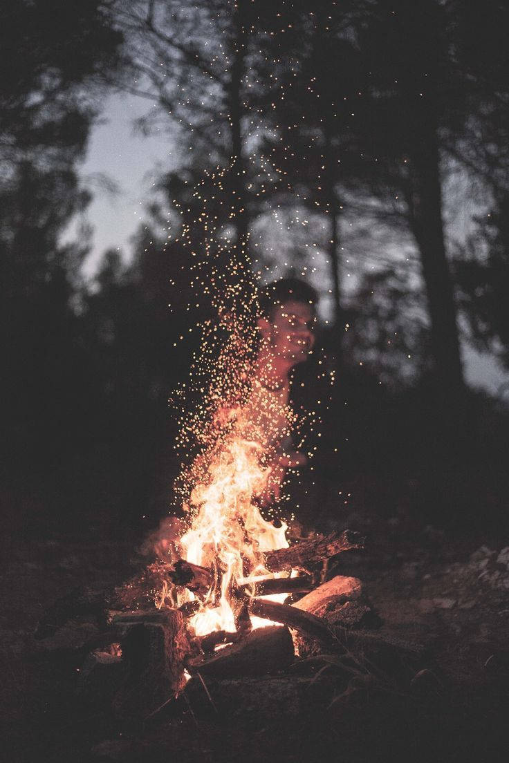 campfire, dusk, dark forest, SD Phone Wallpaper
