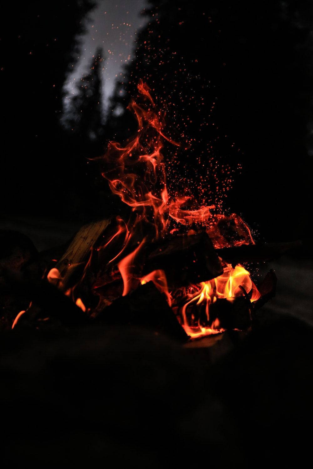 campfire, night, dark forest, HD Phone Wallpaper