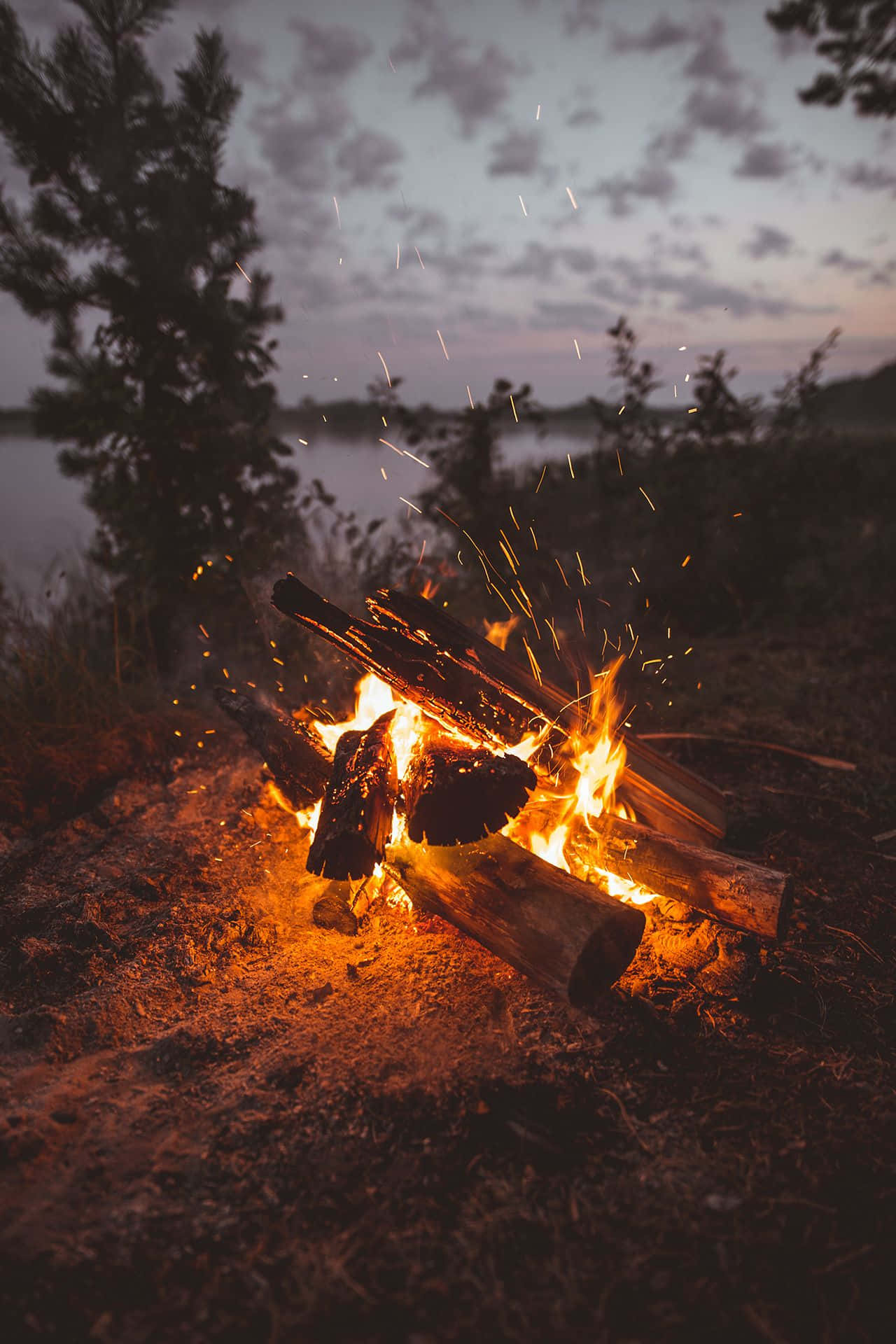 cozy fire, campfire, dusk, Full HD Phone Wallpaper
