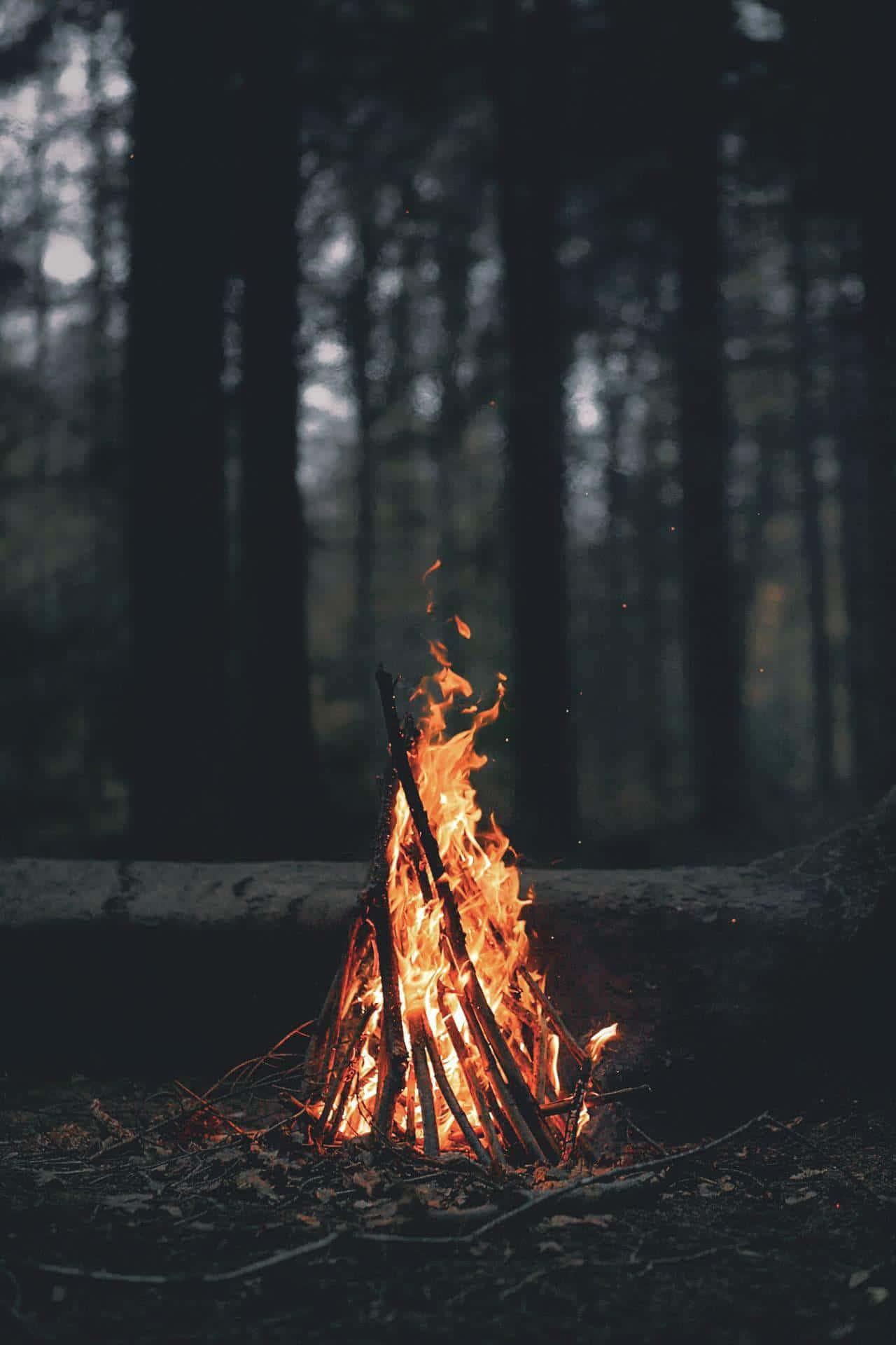 cozy fire, rustic fireplace, campfire, Full HD Phone Wallpaper