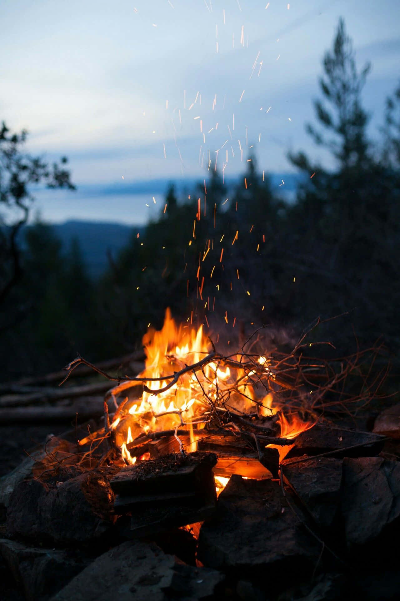 campfire, twilight forest clearing, dark trees, Full HD Phone Wallpaper