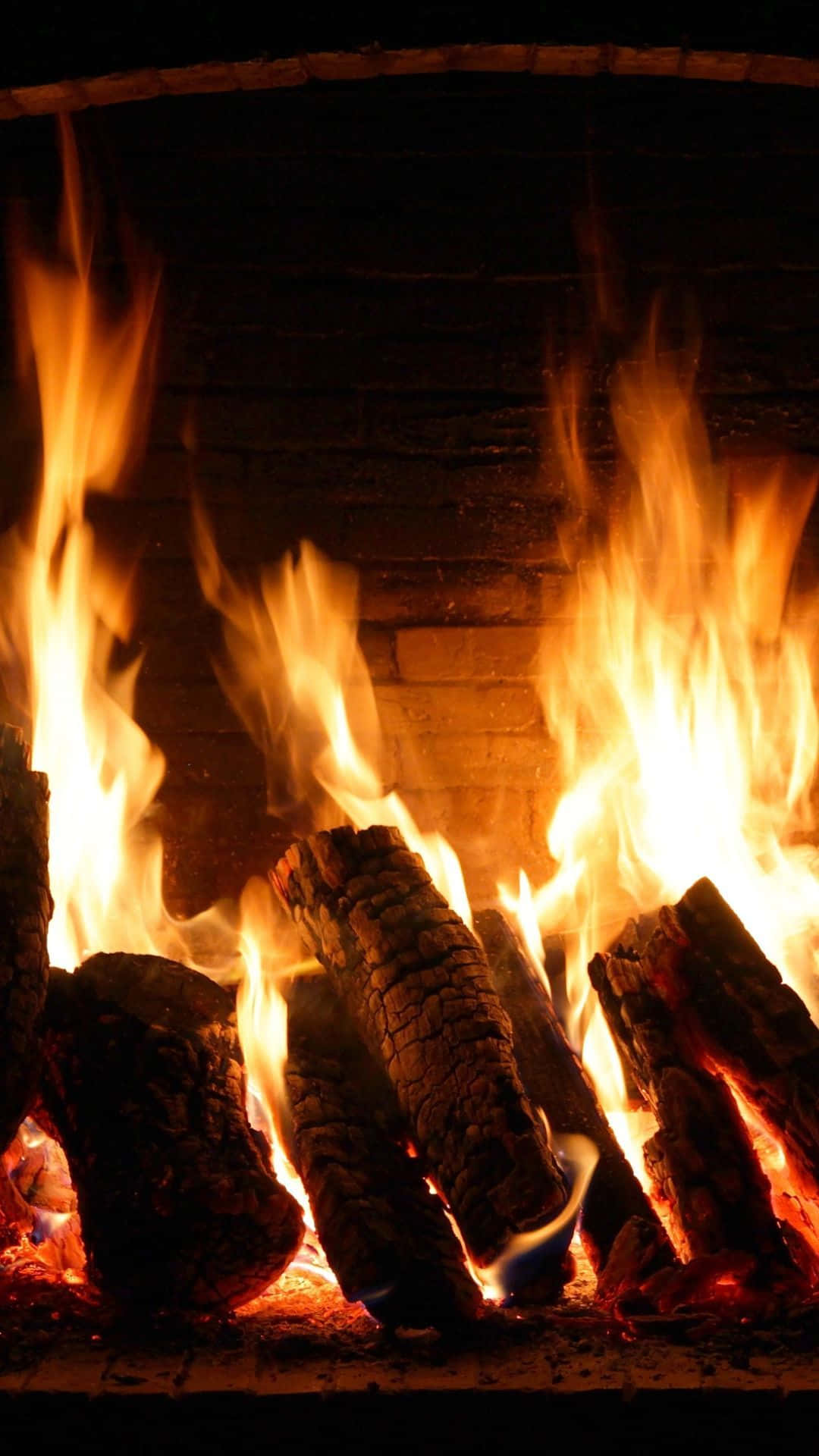 Cozy Fire, orange flames, crackling logs, Full HD Phone Wallpaper