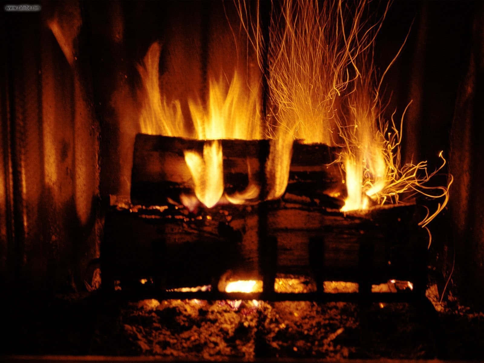 cozy fire, orange flames, burning logs, HD Desktop Wallpaper