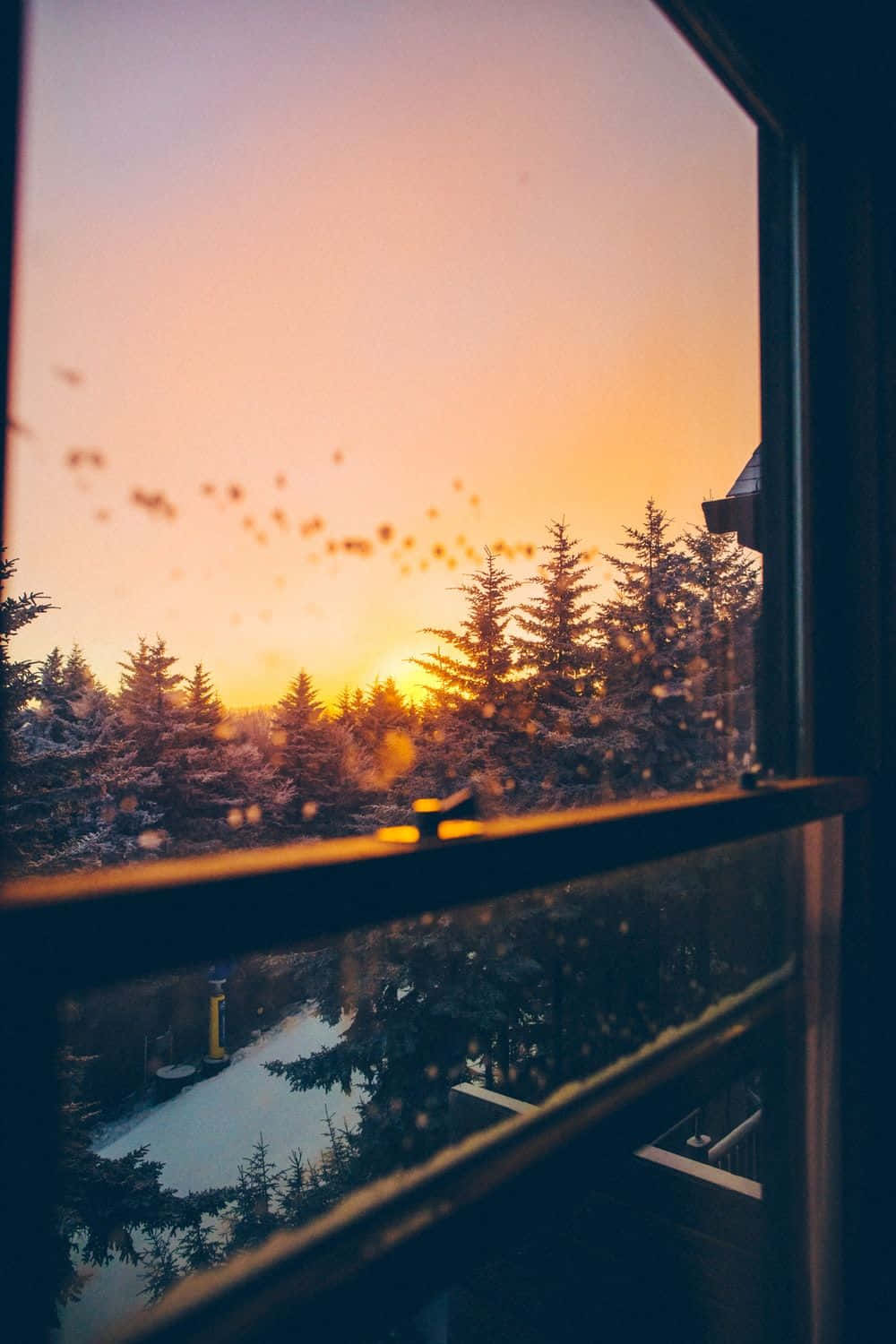 Cozy iPhone, Sunset, frosty window, HD Phone Wallpaper