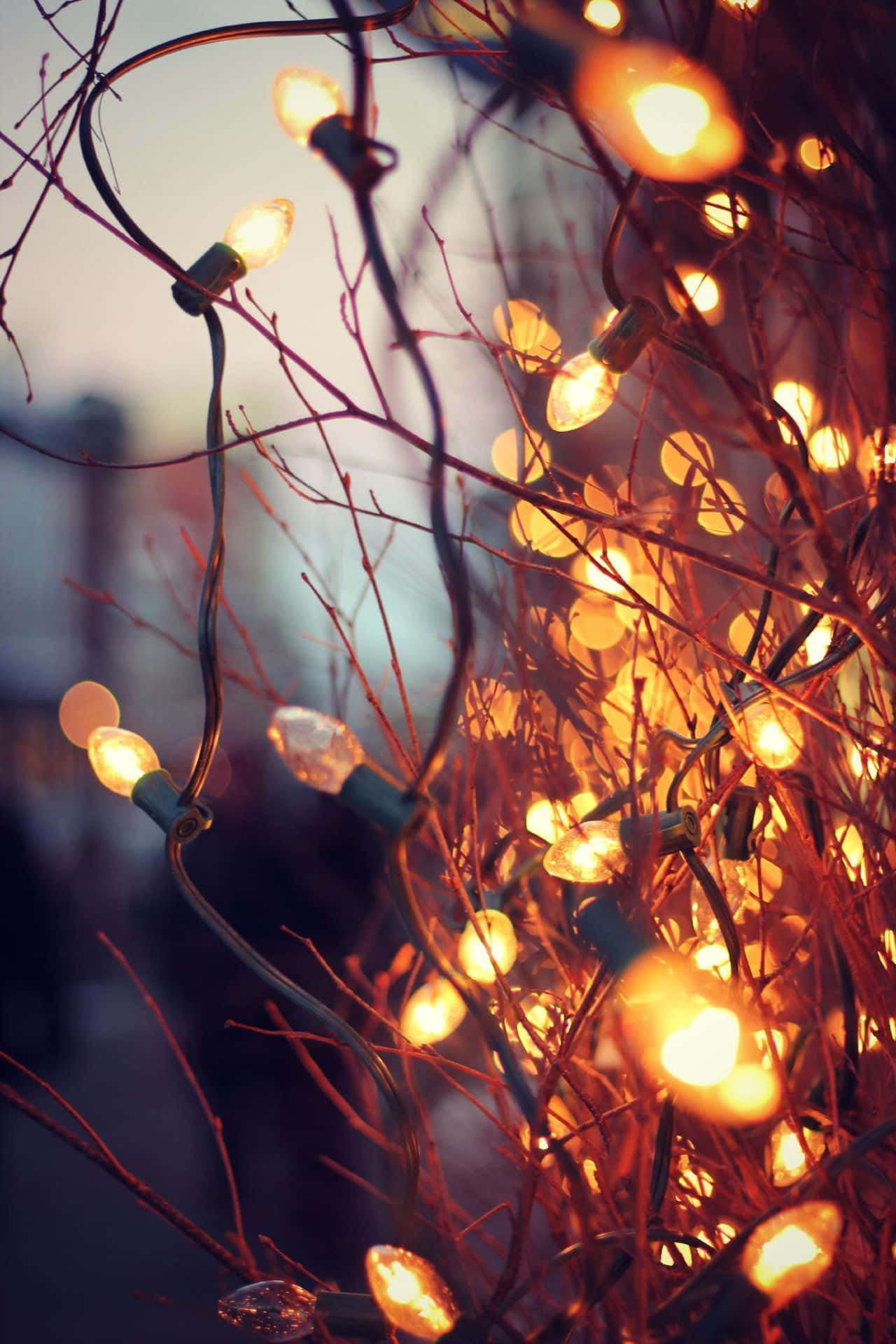 cozy iPhone, string lights, winter branches, Full HD Phone Wallpaper