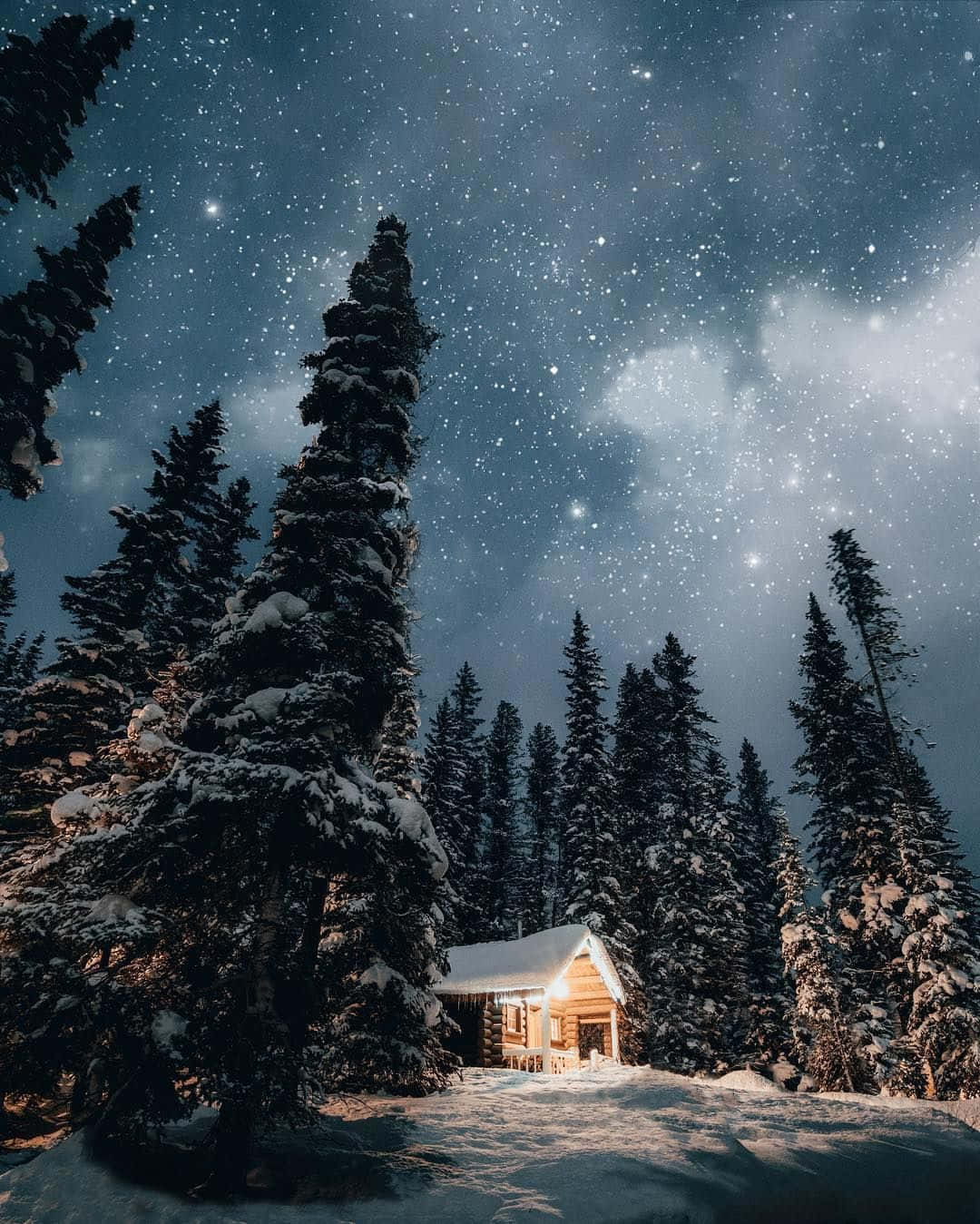 cozy wooden cabin, snow-covered pine trees, starry winter night sky, HD Phone Wallpaper