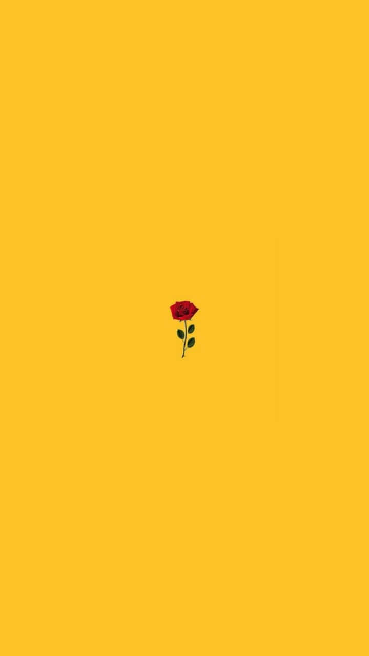 yellow aesthetic, red rose, green stem, HD Phone Wallpaper