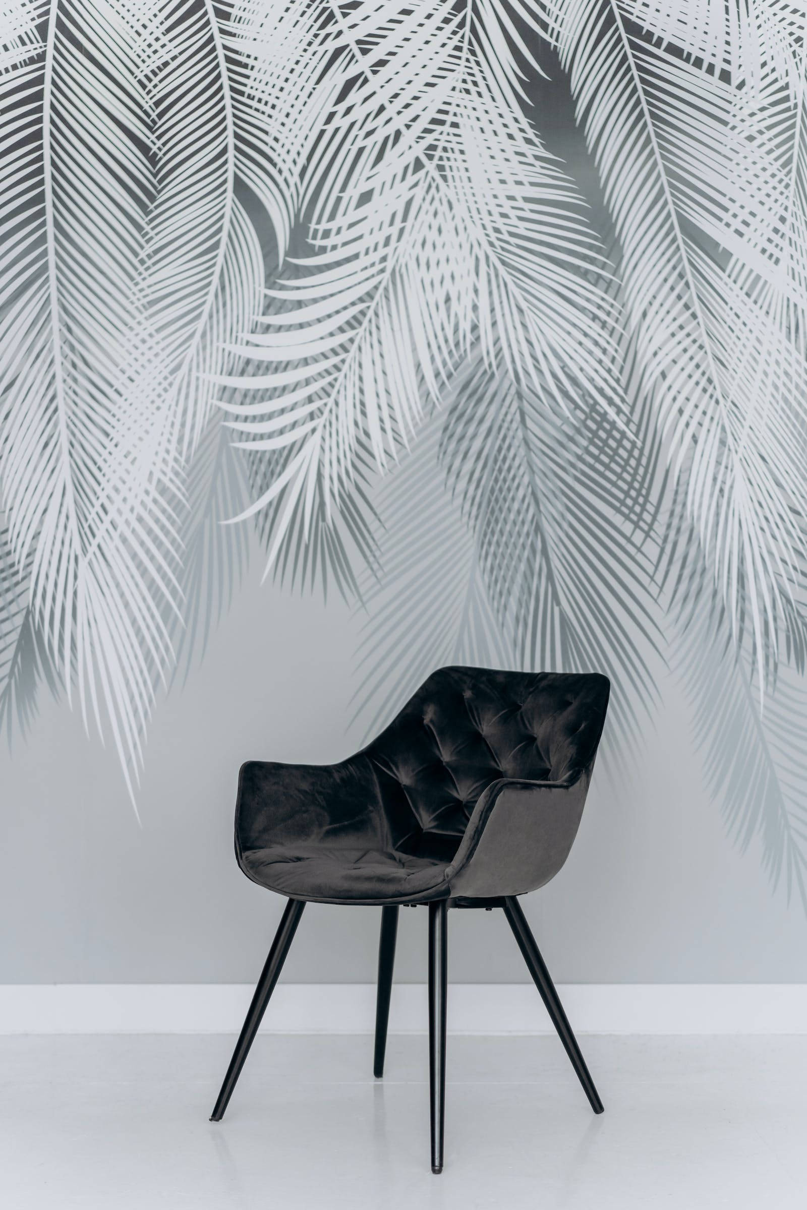 black tufted chair, minimalist wall, large white palm leaf wallpaper, Full HD Phone Wallpaper