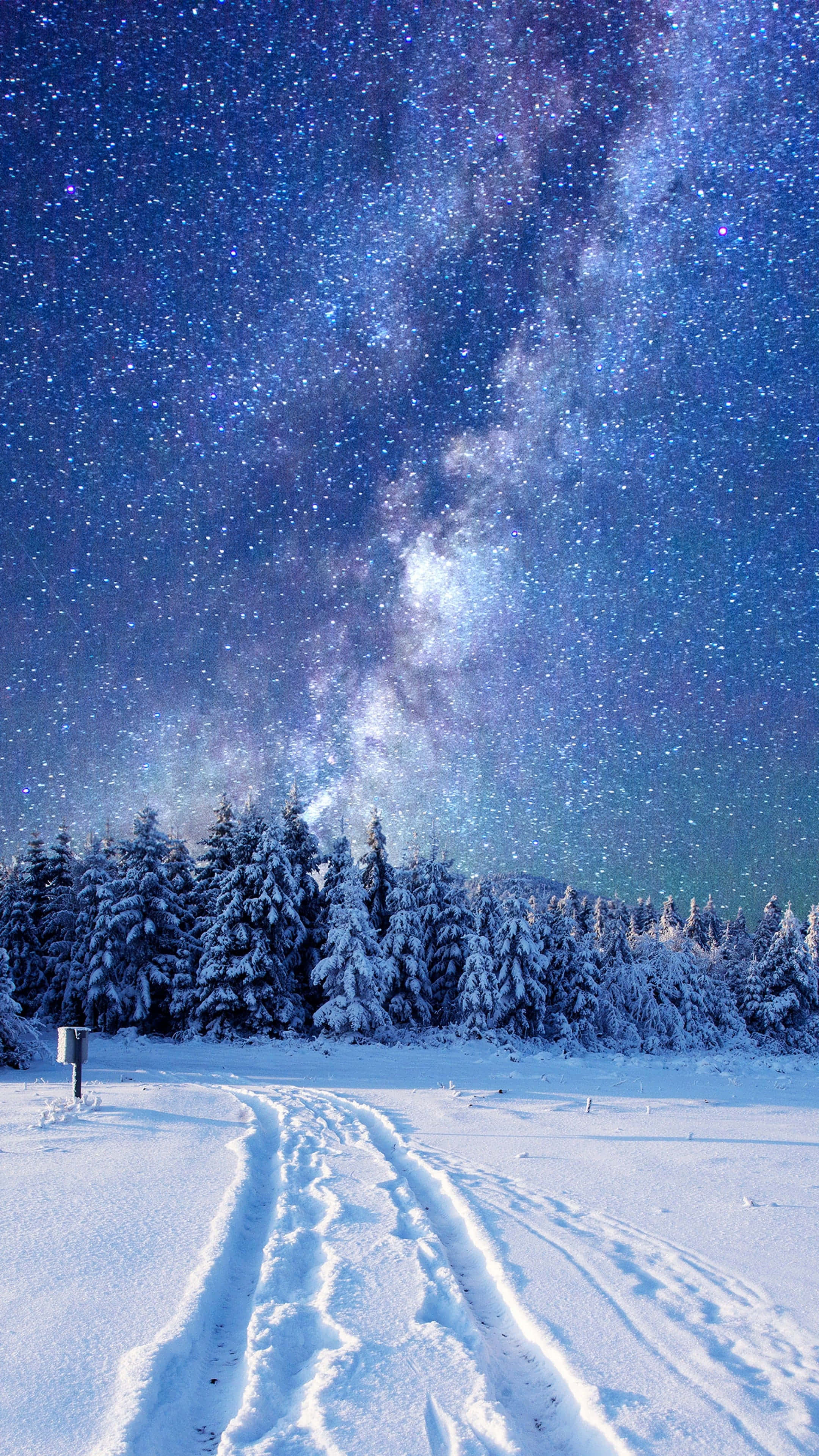 Cozy Winter Wonderland, snowy forest path, starry night sky, 4K Phone Wallpaper
