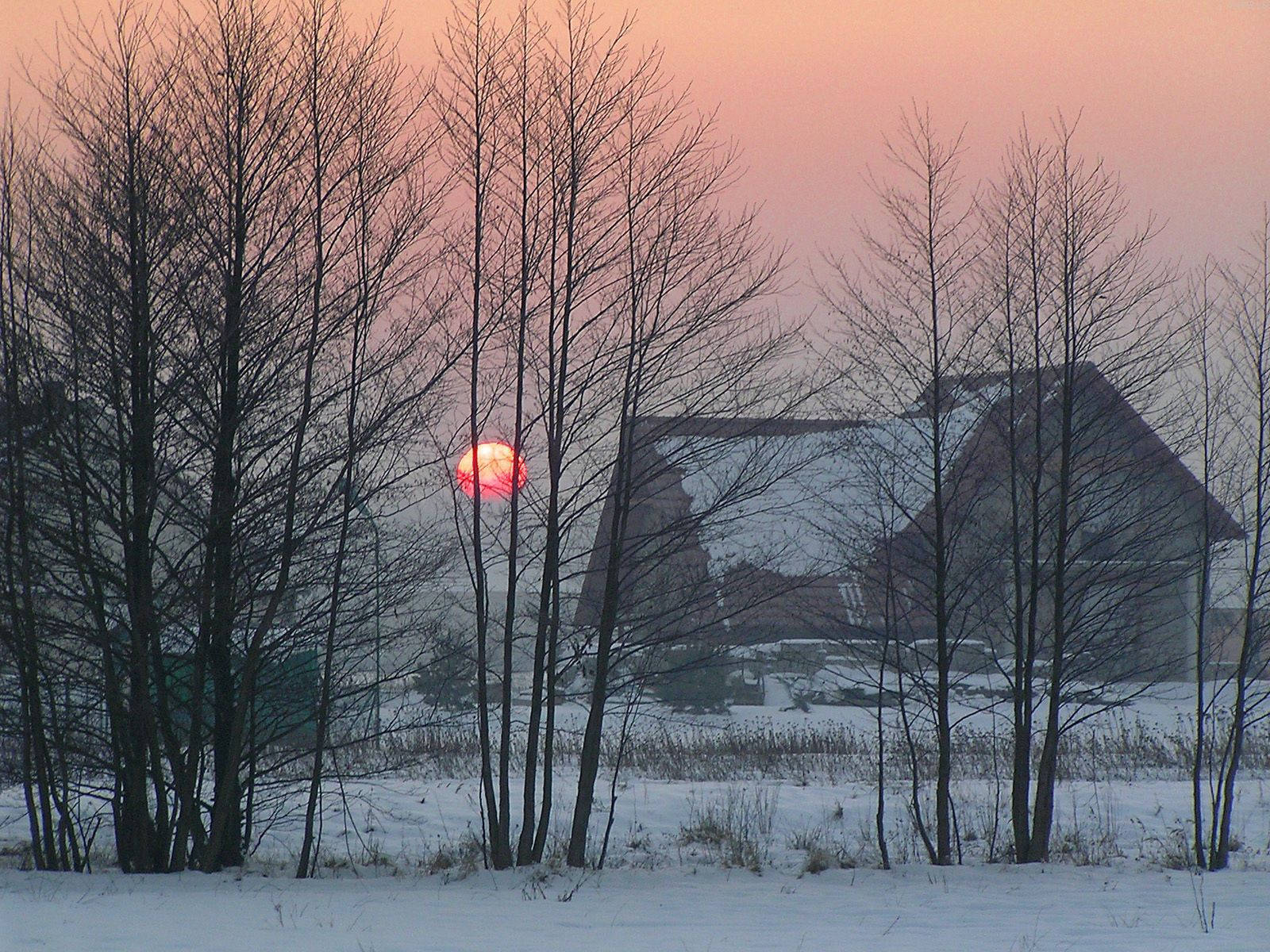 winter dawn, snowy winter sunrise, bare trees, HD Desktop Wallpaper