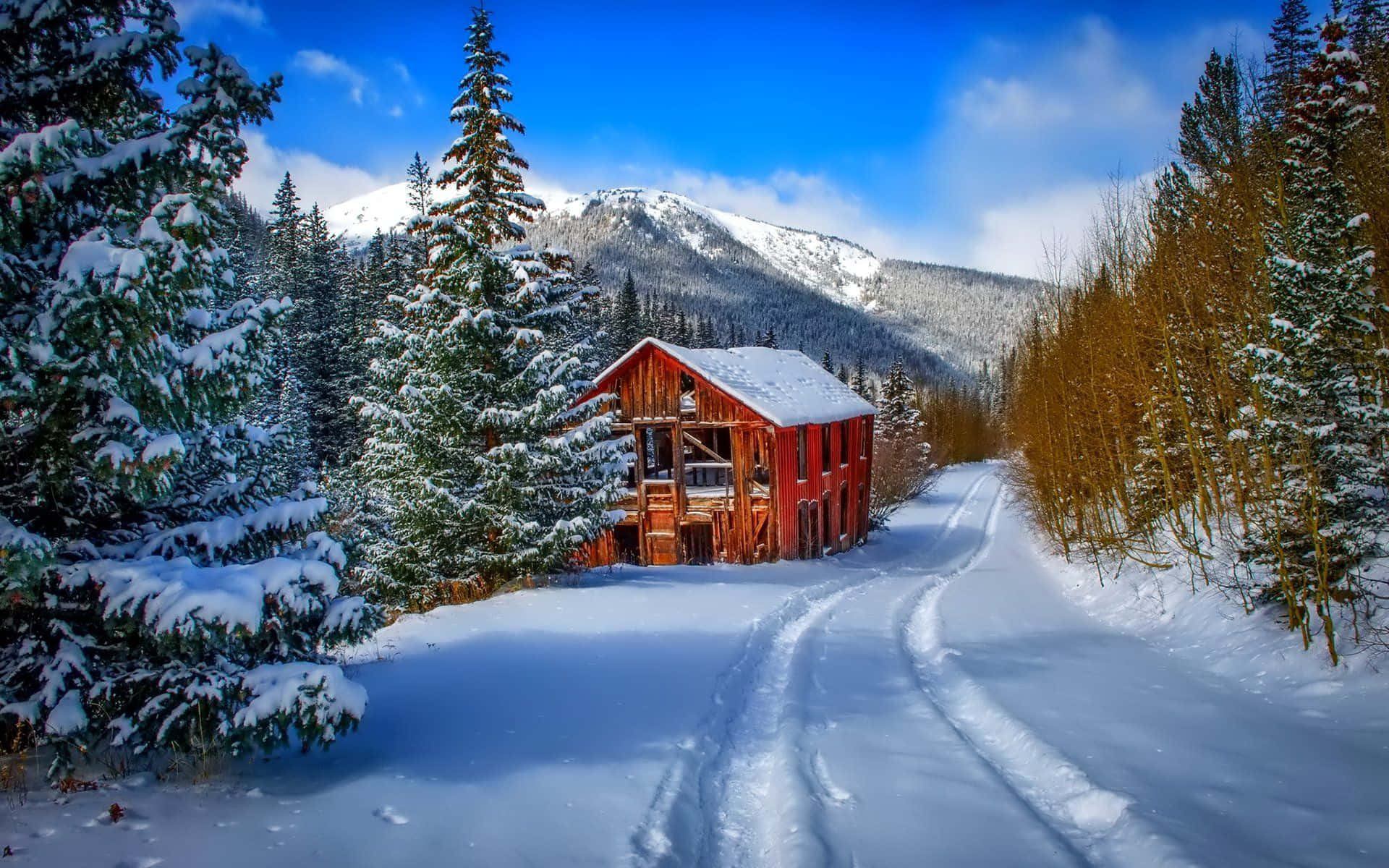 cozy winter cabin, red wooden cabin, snowy forest, Full HD Desktop Wallpaper