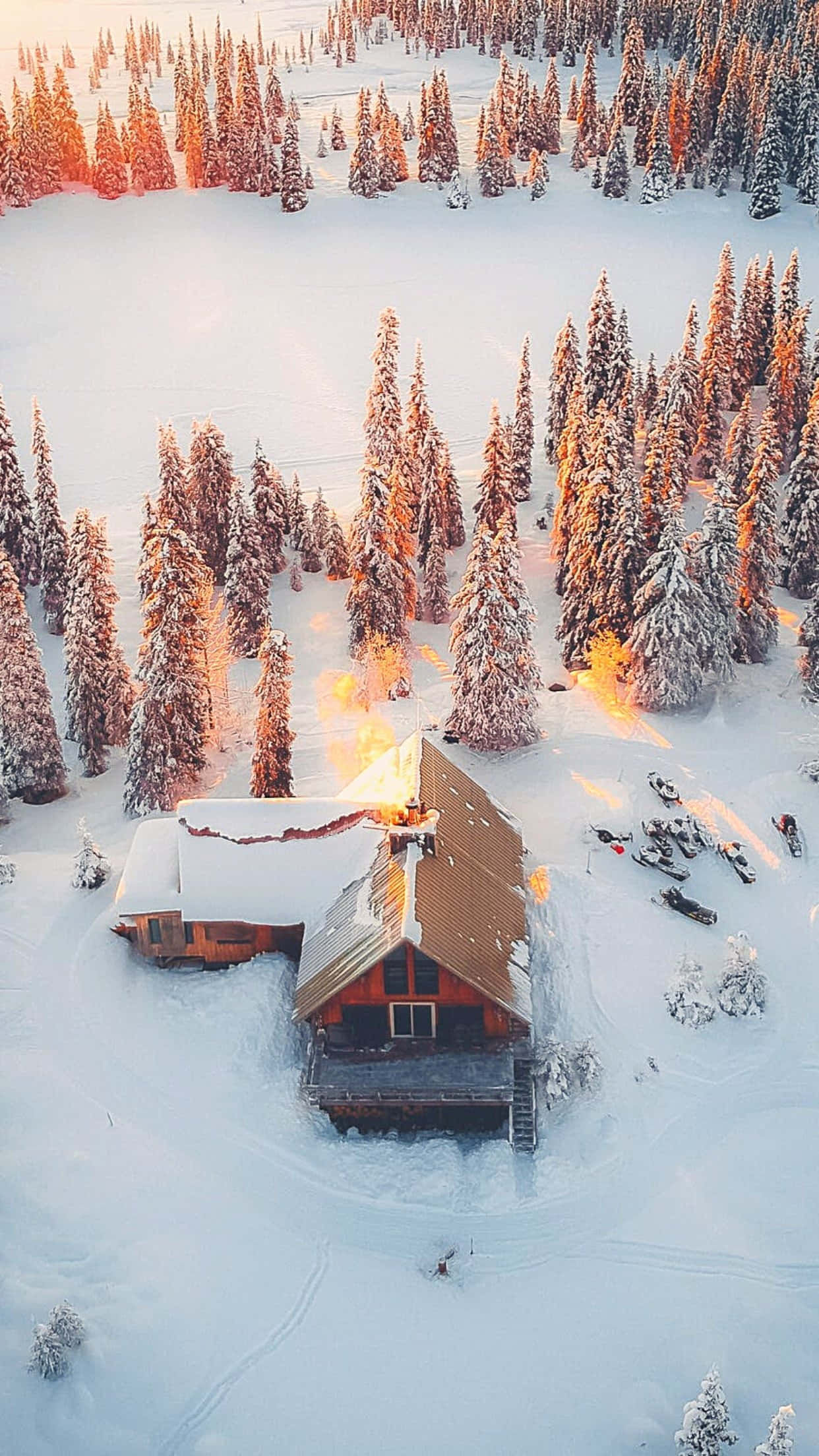cozy winter cabin, wooden cabin, snow-covered pine forest, Full HD Phone Wallpaper