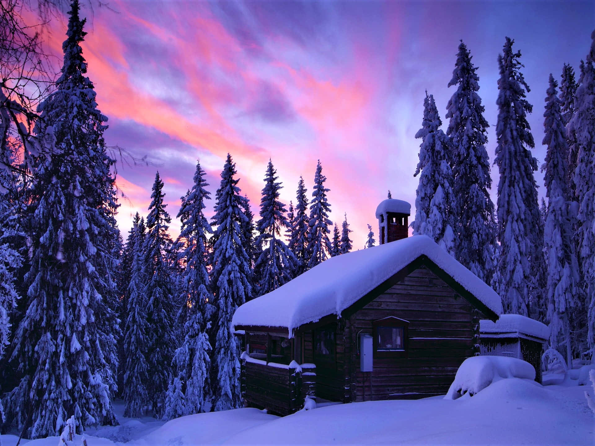 cabin, snow-covered wooden cabin, tall pine trees, Full HD Desktop Wallpaper
