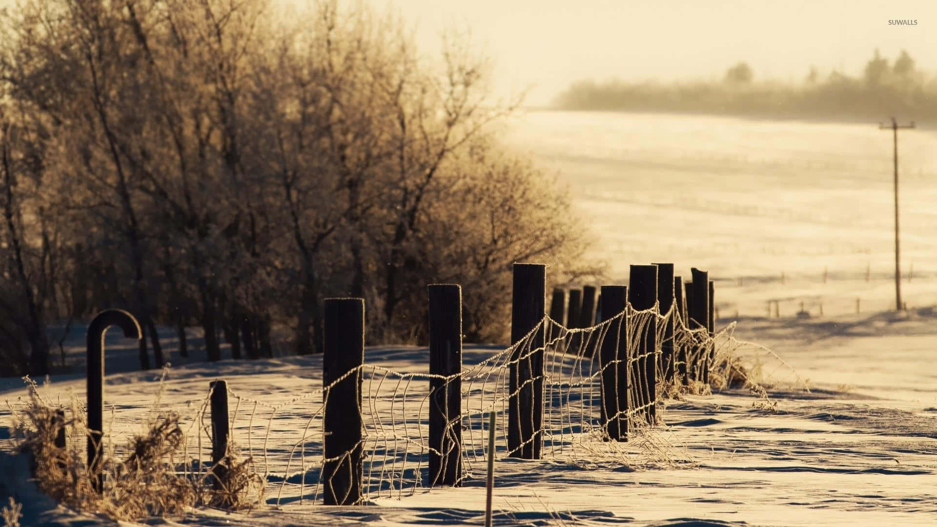 cozy winter desktop, 1920 x 1080, frosty winter field, Full HD Desktop Wallpaper