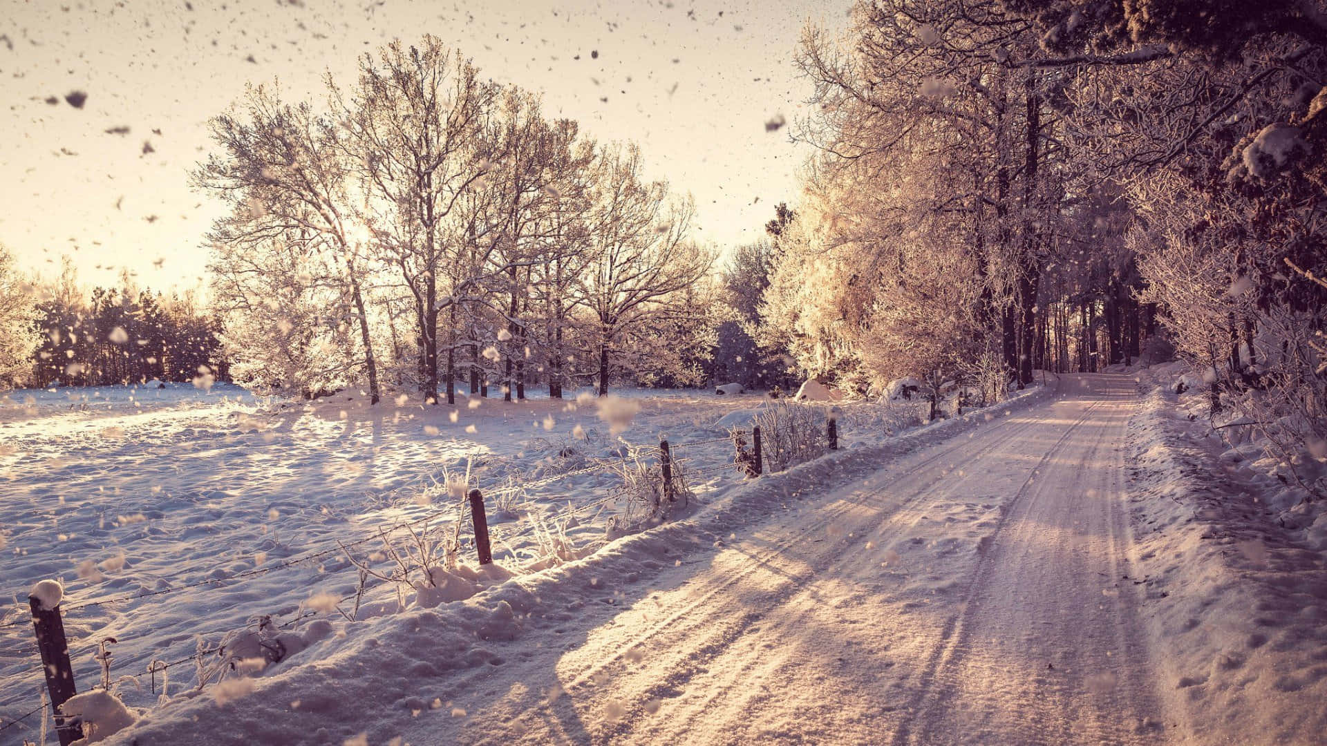 Cozy Winter Snow-covered Road Desktop, snow-covered rural road, frosty trees, Full HD Desktop Wallpaper