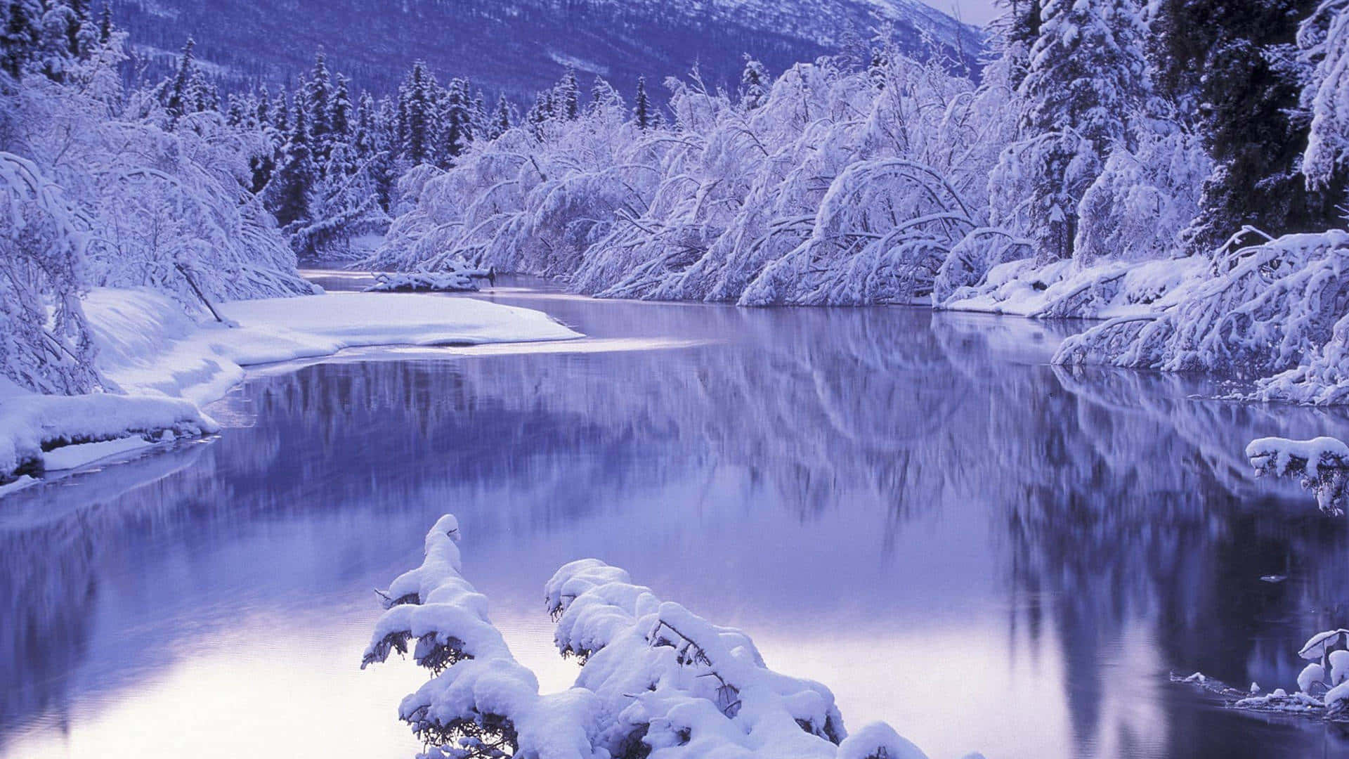 winter laptop, Cozy Winter Workspace, snow-covered trees, Full HD Desktop Wallpaper