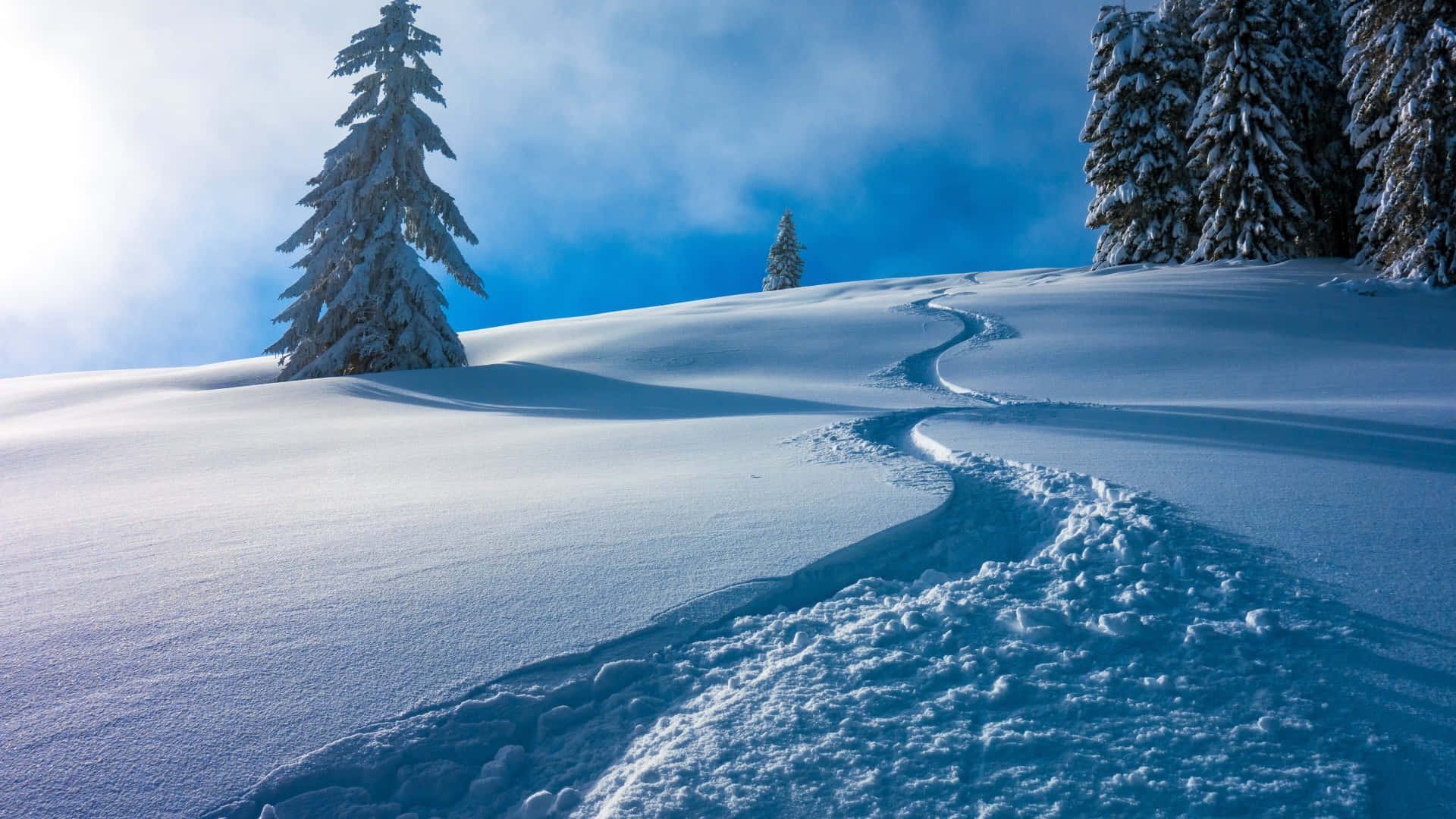 winter laptop, ski trail, pristine snow, Full HD Desktop Wallpaper