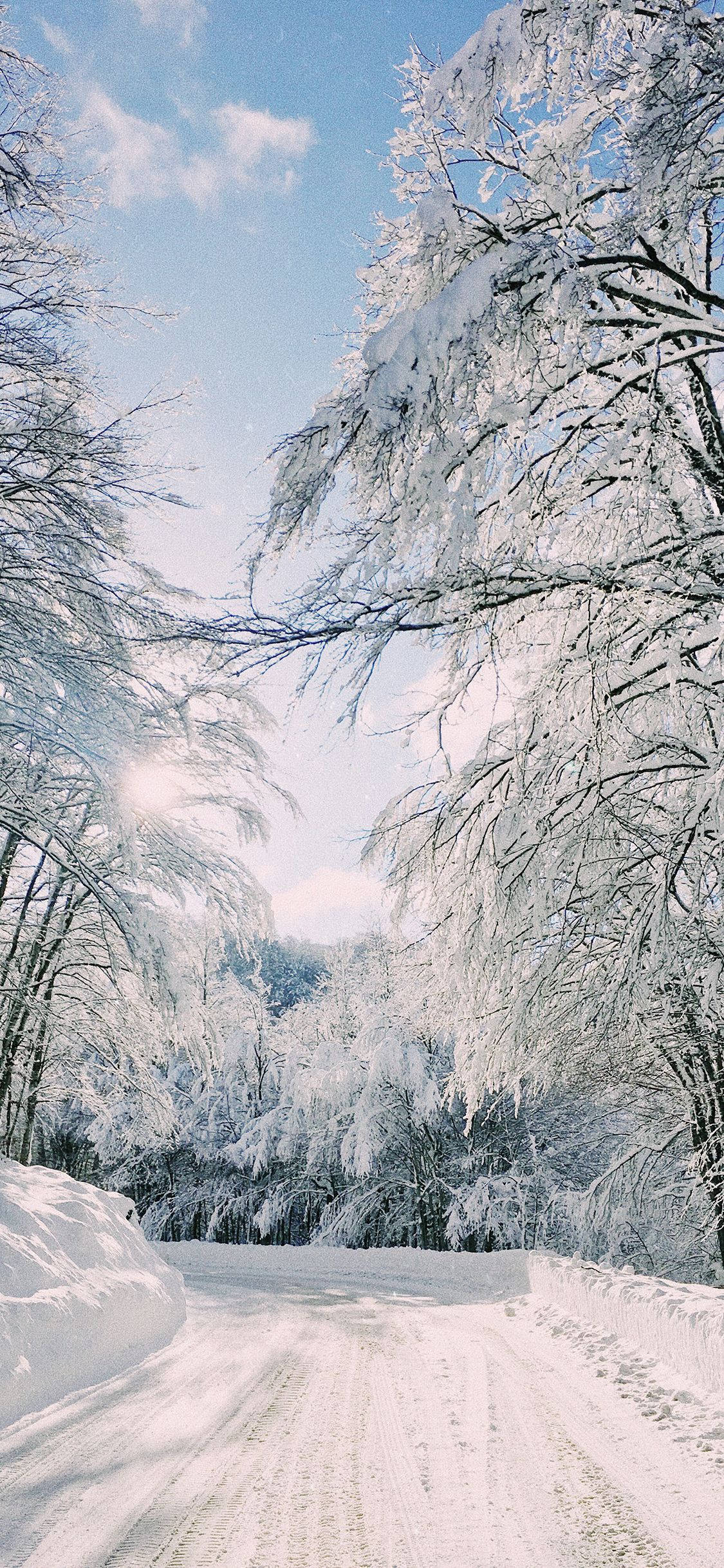 snow-covered road, frost-laden trees, bright blue sky, Full HD Phone Wallpaper