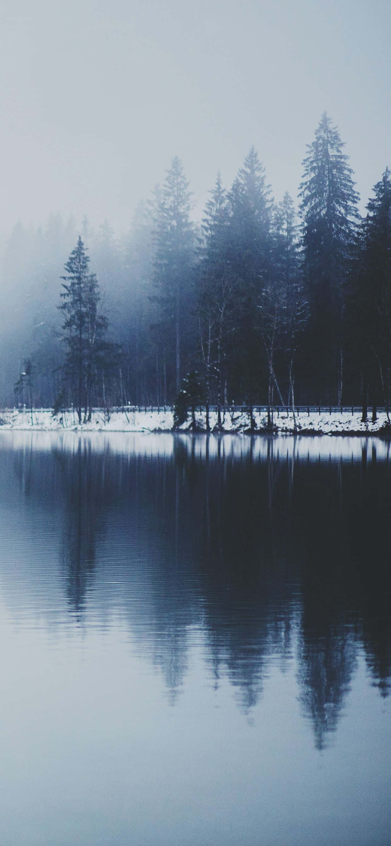 snow iphone, misty winter lake, tall pine trees, 2K Phone Wallpaper