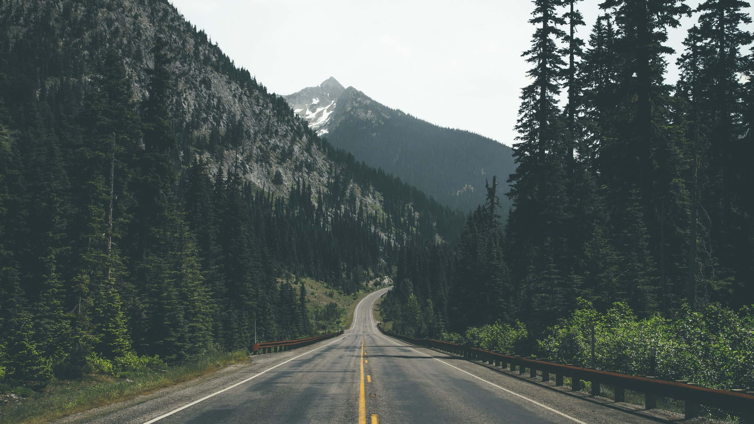 mountain road, evergreen forests, snow-capped peak, 2K Desktop Wallpaper