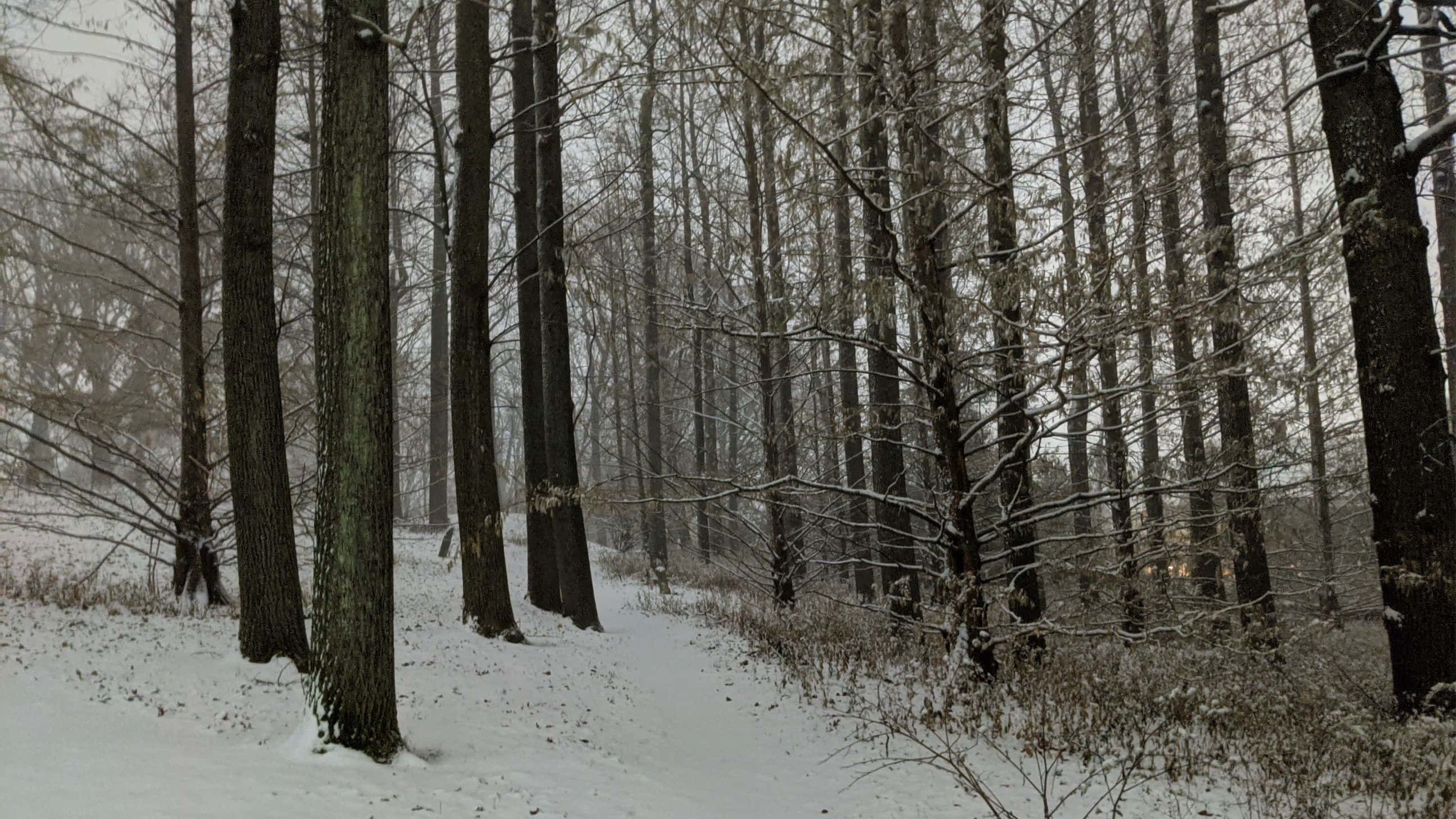 cozy winter spirit, hot cup of coffee, snow blankets, 2K Desktop Wallpaper