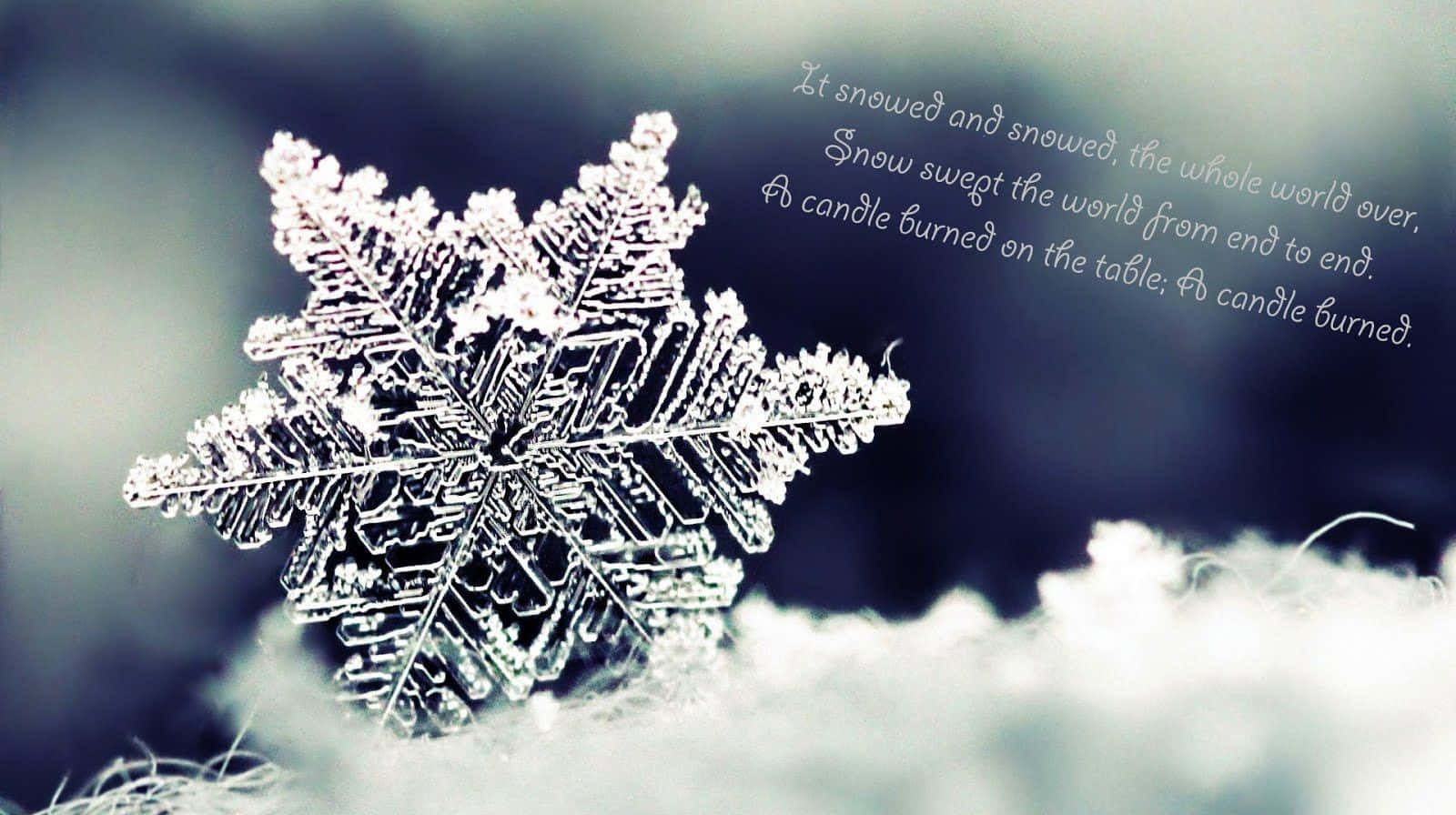 cozy winter tumblr, snowflake, soft snow, HD Desktop Wallpaper