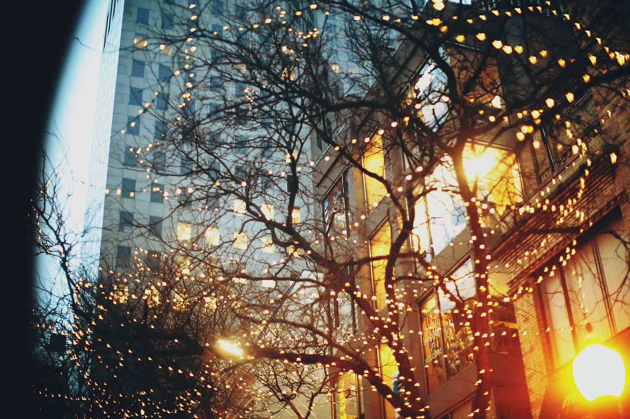 twinkling string lights, bare winter tree branches, glowing city buildings, HD Desktop Wallpaper