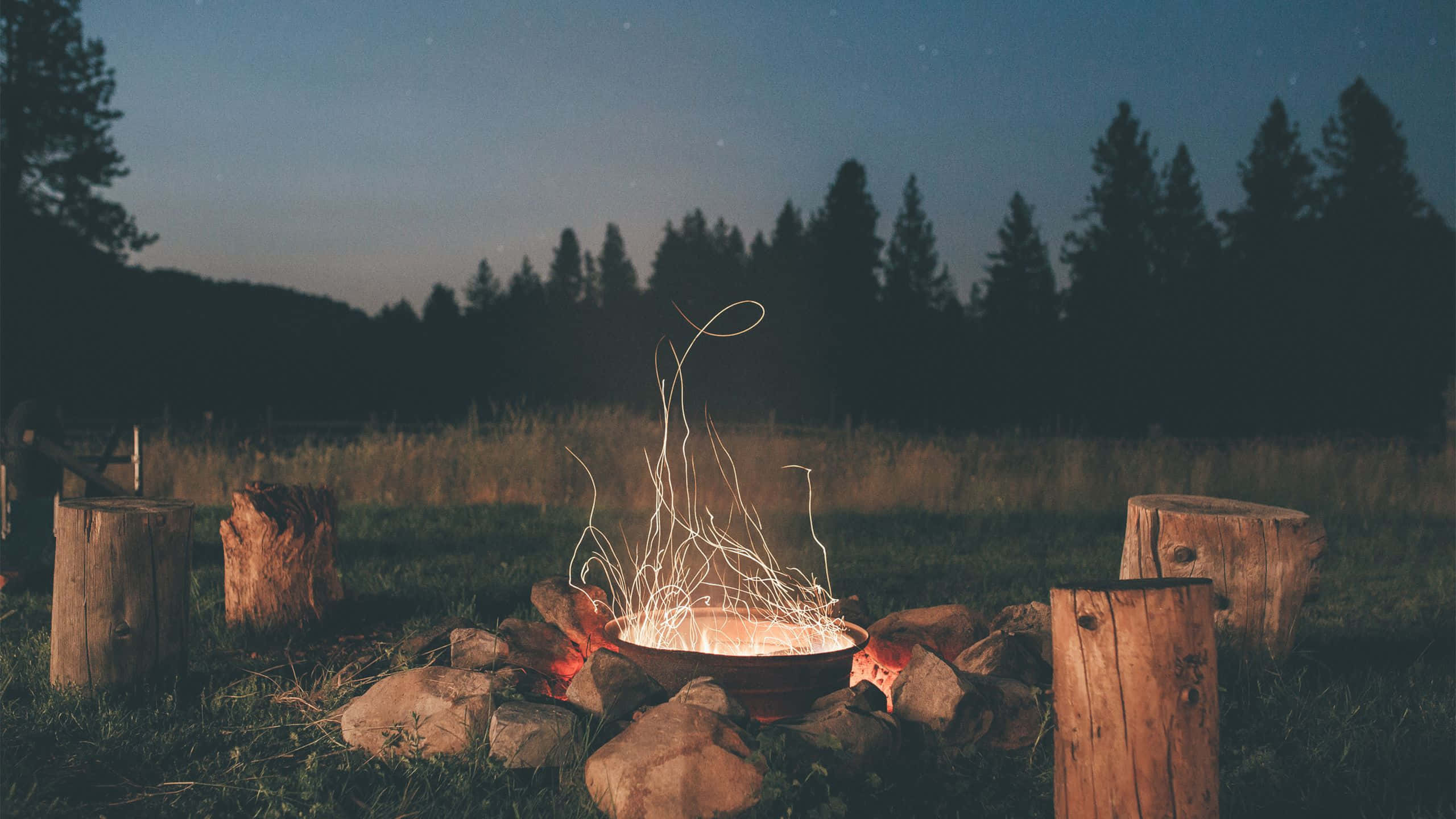 campfire, stone ring, tree stumps, 2K Desktop Wallpaper