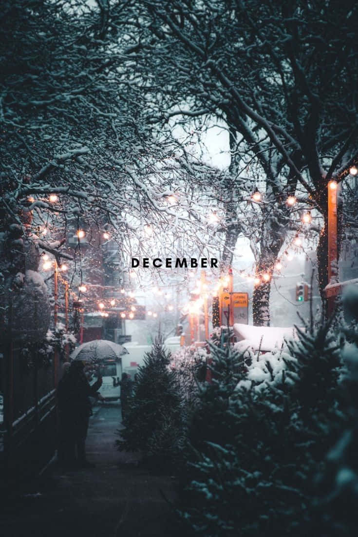 snowy December street, dusk, bare trees draped in snow, SD Phone Wallpaper
