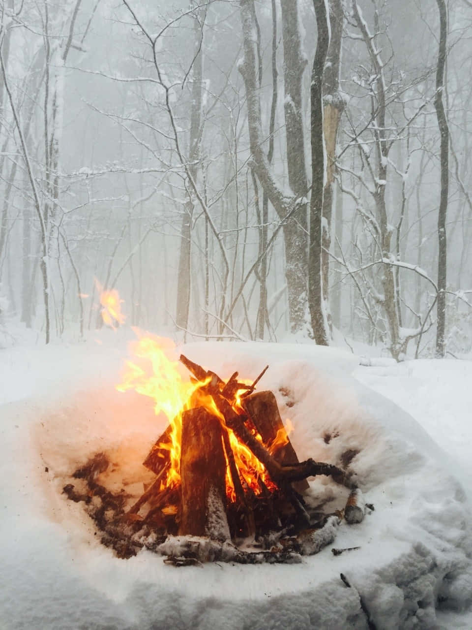 campfire, snowy winter forest, warm light, HD Phone Wallpaper
