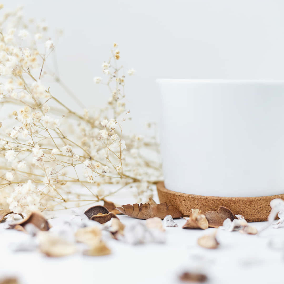 cozy winter aesthetic, scented candle, dried baby's breath, SD Desktop Wallpaper