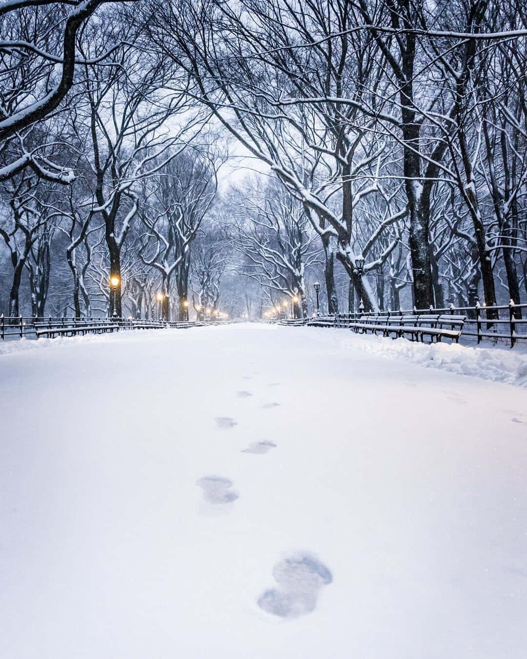 cozy winter aesthetic, snow path, footprints, HD Phone Wallpaper