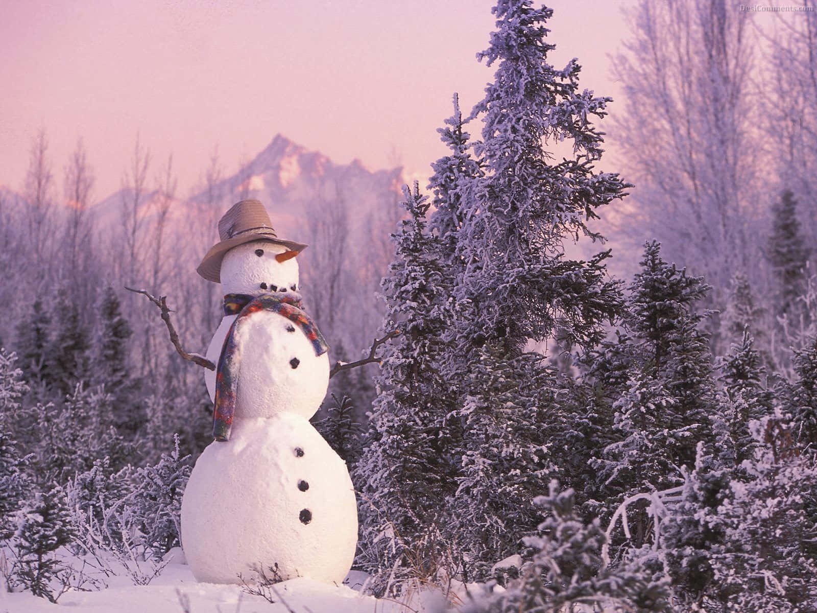 cozy winter aesthetic, conifer forest, snowman, HD Desktop Wallpaper