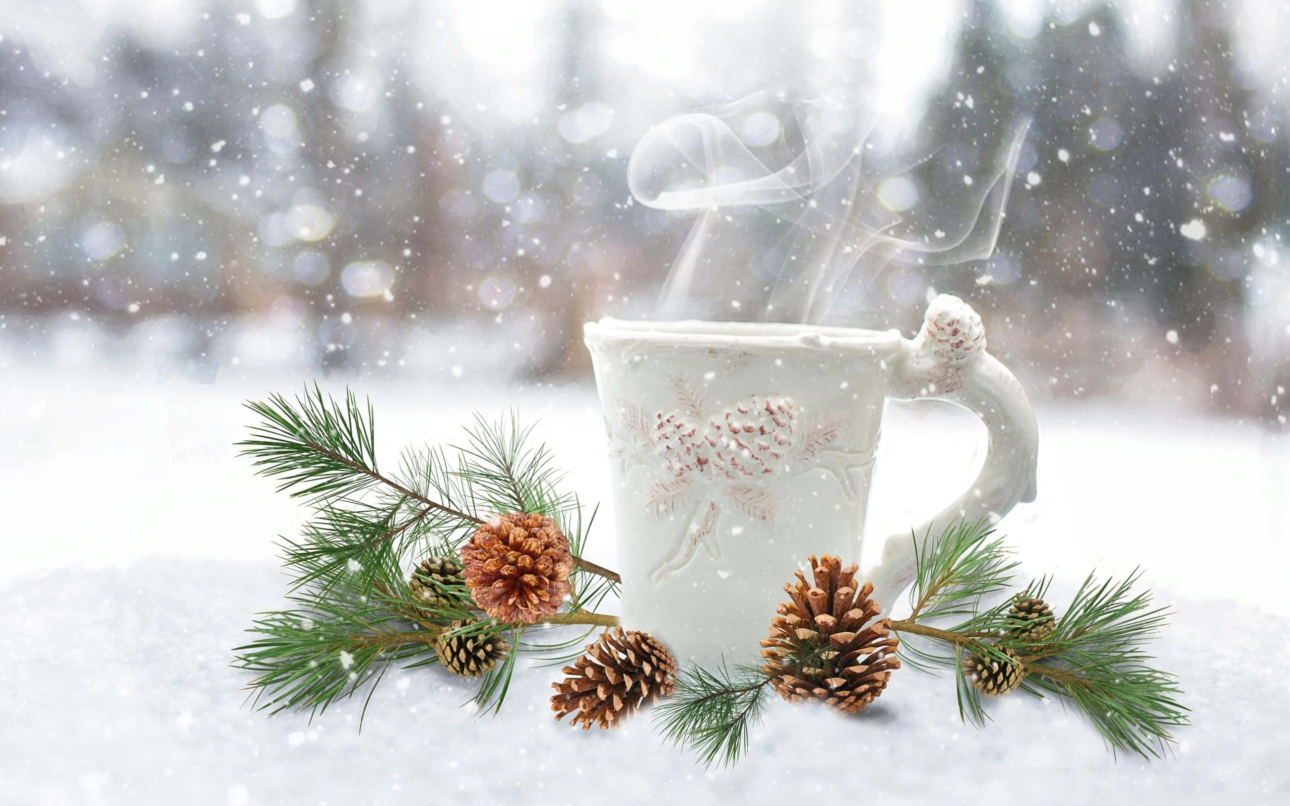 coffee, pine cones, evergreen accents, 2K Desktop Wallpaper