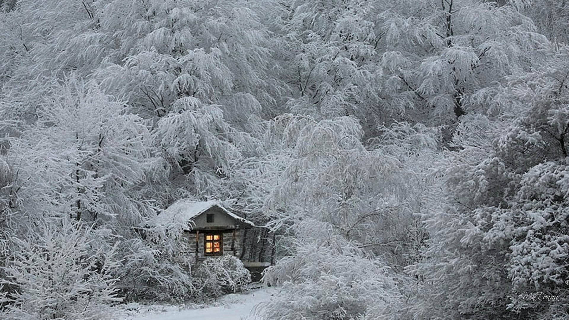 cozy winter, snow-covered woods, cabin, Full HD Desktop Wallpaper