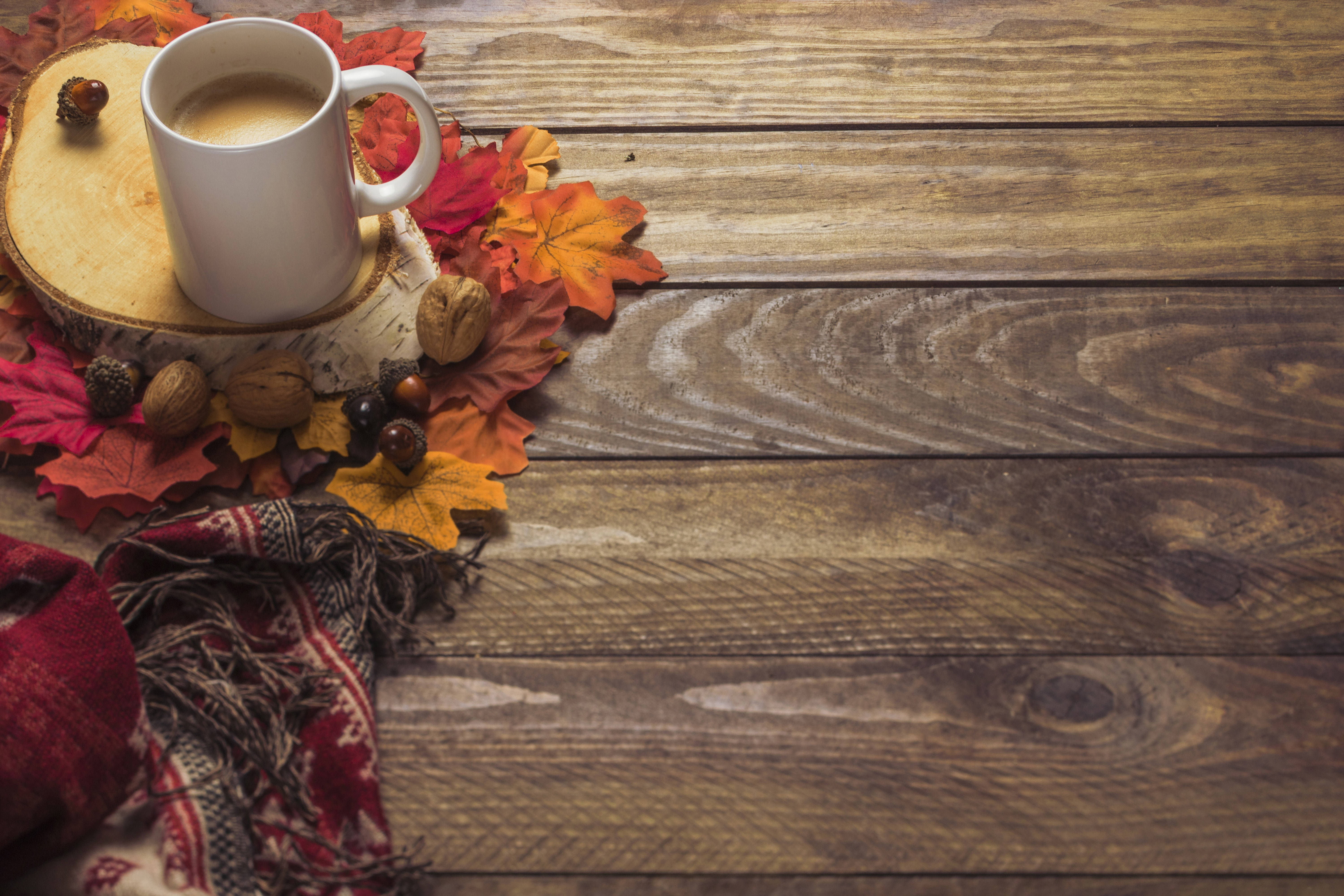 autumn, red orange leaves, acorns, 5K Desktop Wallpaper