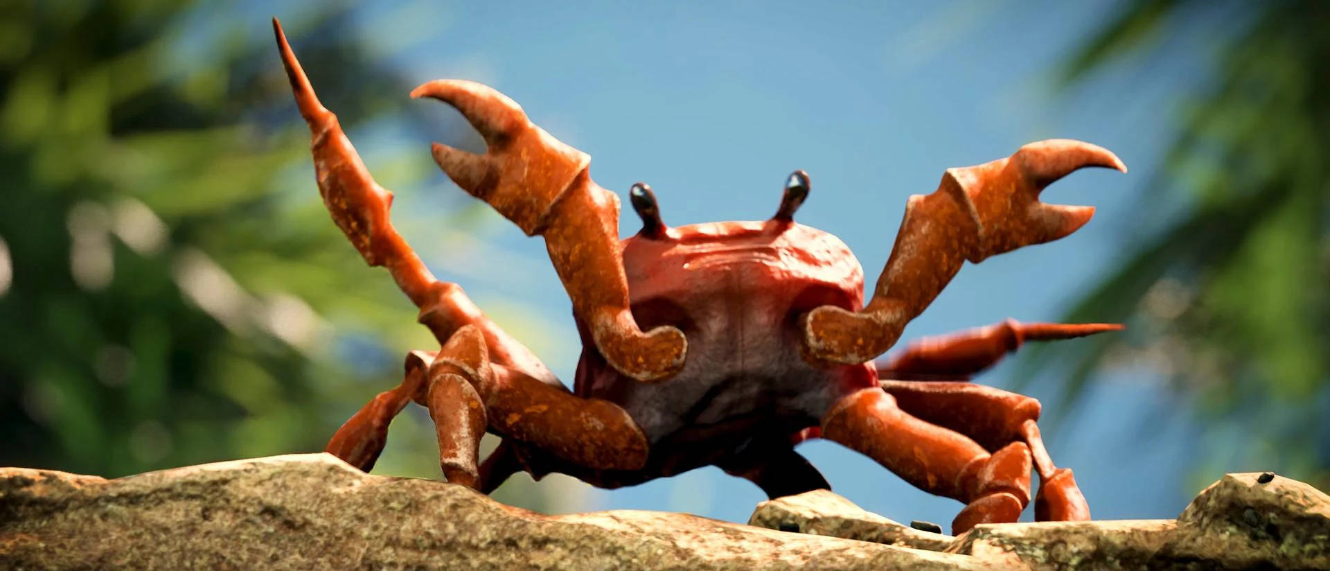 crab, rock, vibrant red, Full HD Desktop Wallpaper