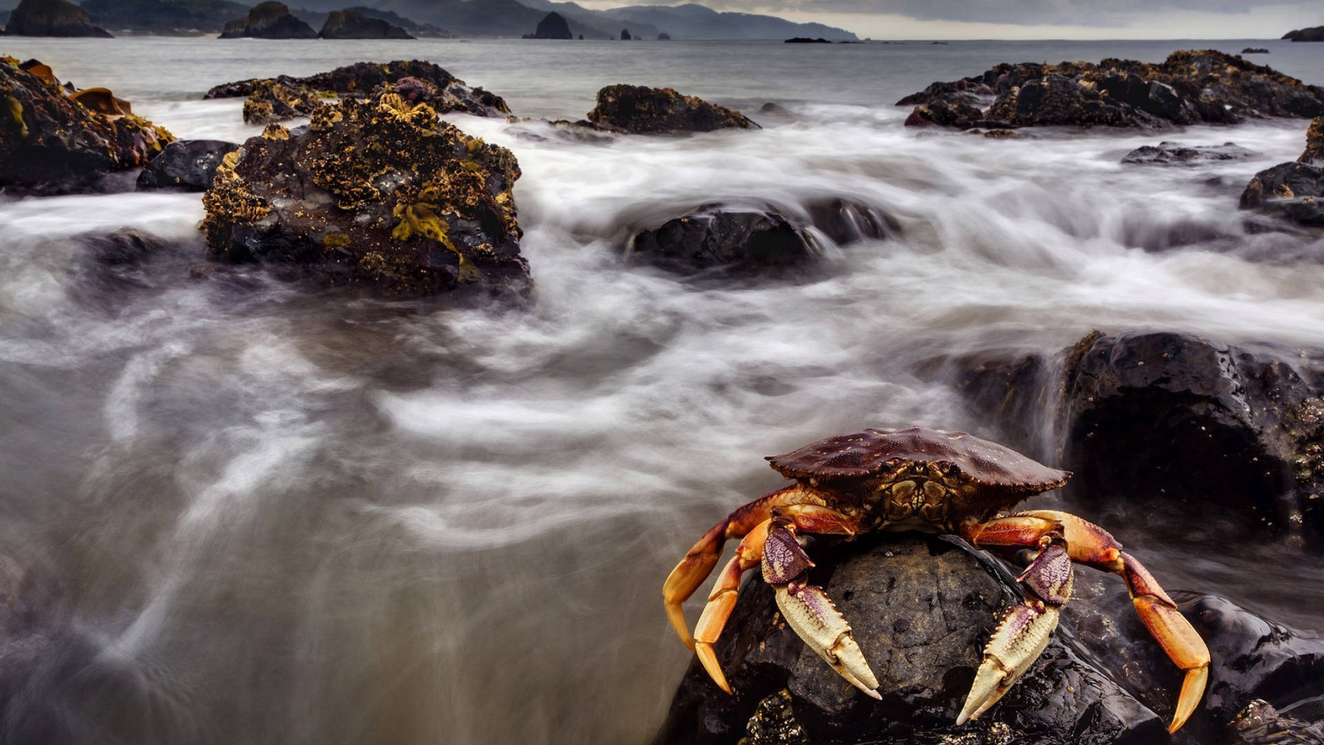 Black Crab, dark rocks, milky ocean waves, Full HD Desktop Wallpaper