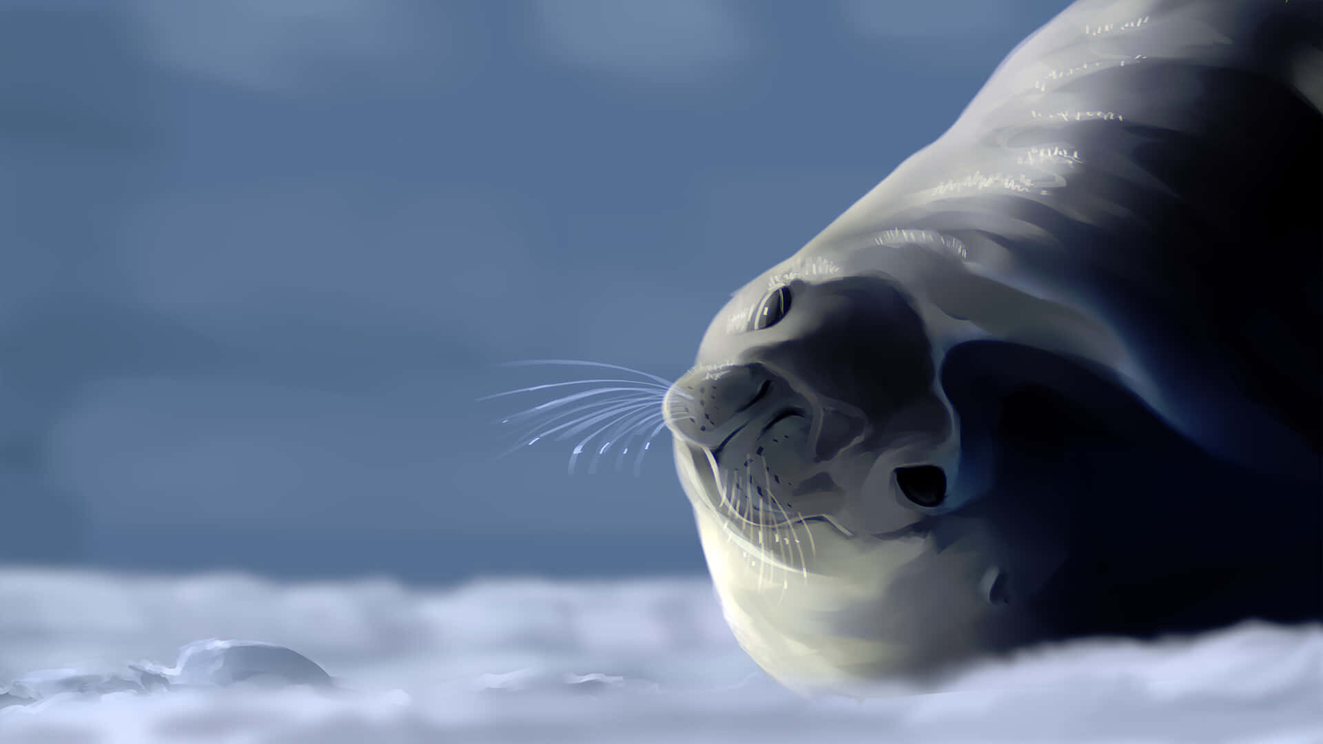 crabeater seal, seal pup, snowy ice, Full HD Desktop Wallpaper