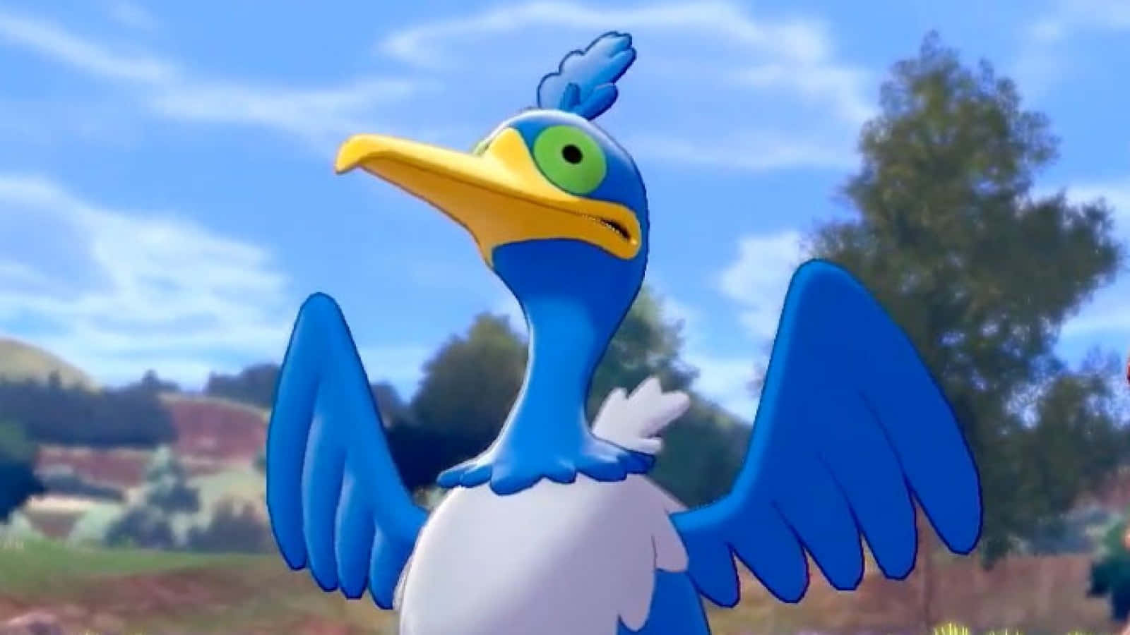 Cramorant, vibrant blue, yellow beak, HD Desktop Wallpaper