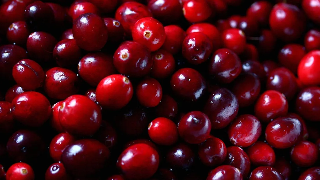 Cranberry