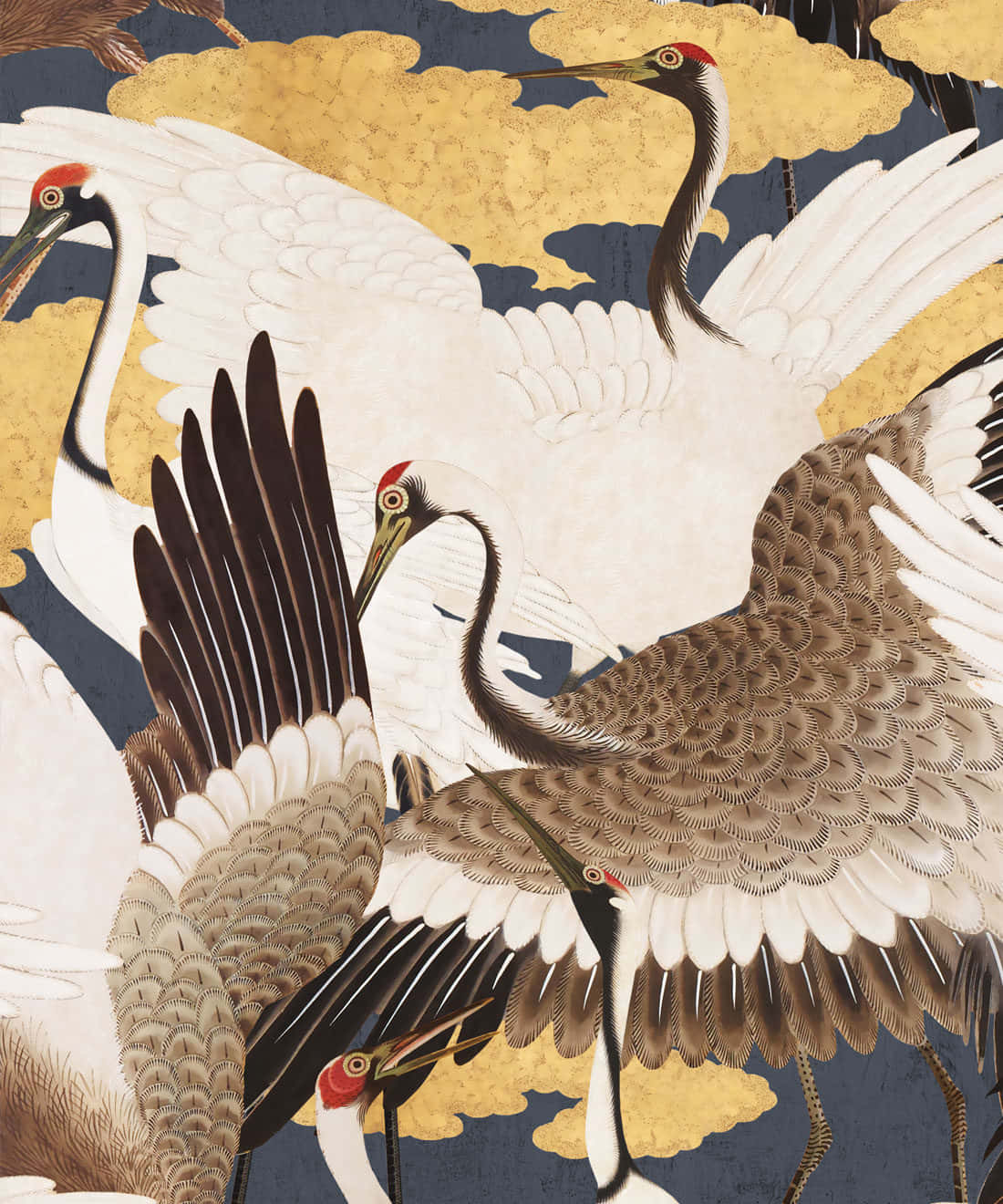 Elegant Cranes Artwork, white and brown cranes, red crowns, HD Phone Wallpaper