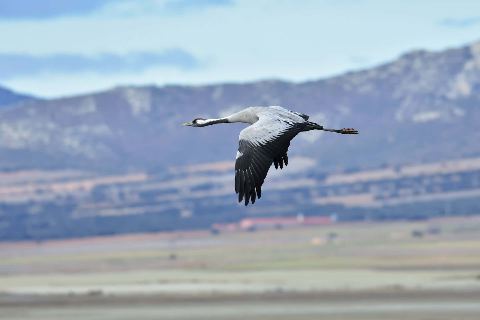 crane, mountain backdrop, clear blue sky, Full HD Desktop Wallpaper