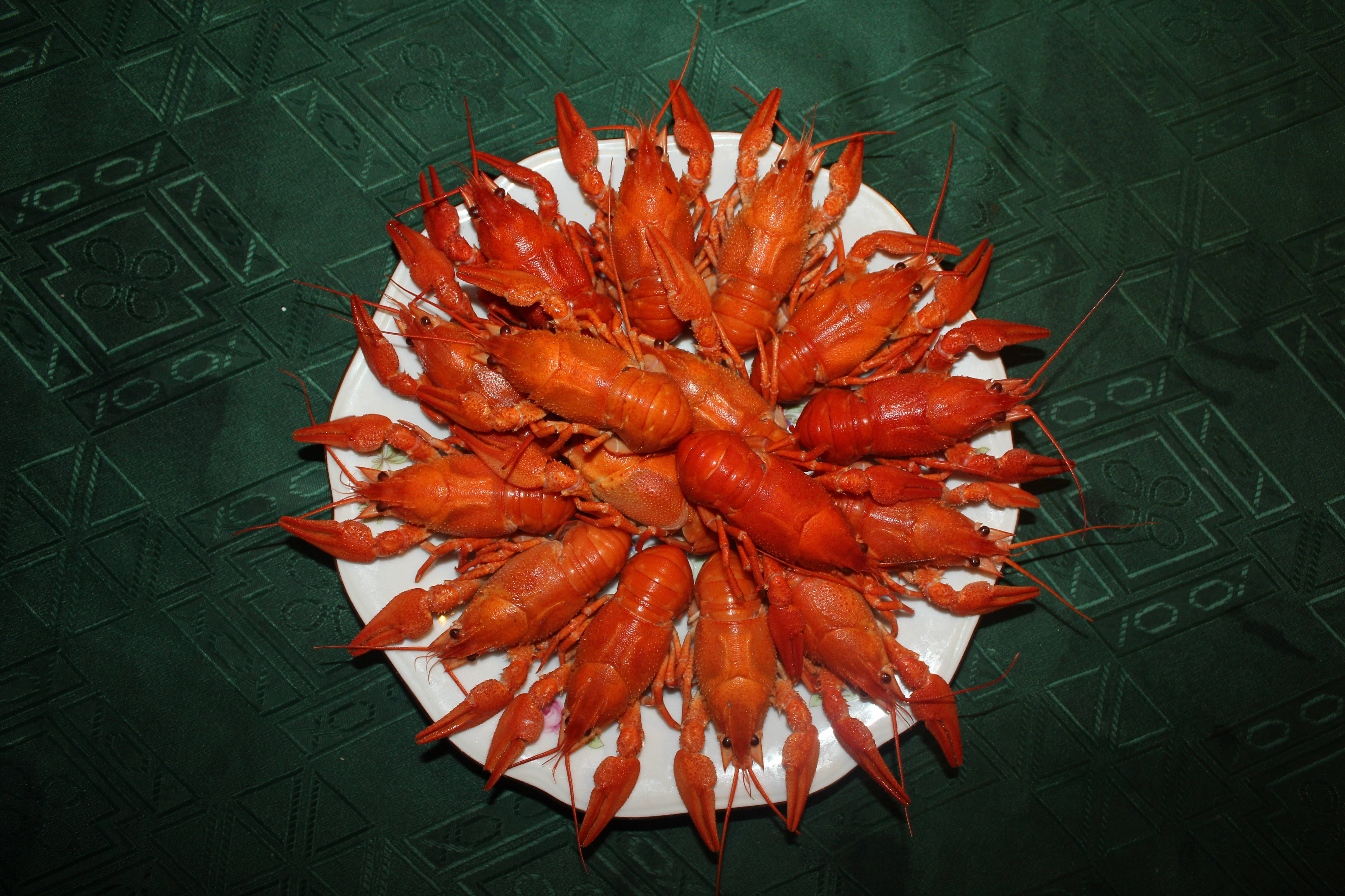 white plate, bright red cooked crawfish, dark green patterned tablecloth, 5K Desktop Wallpaper