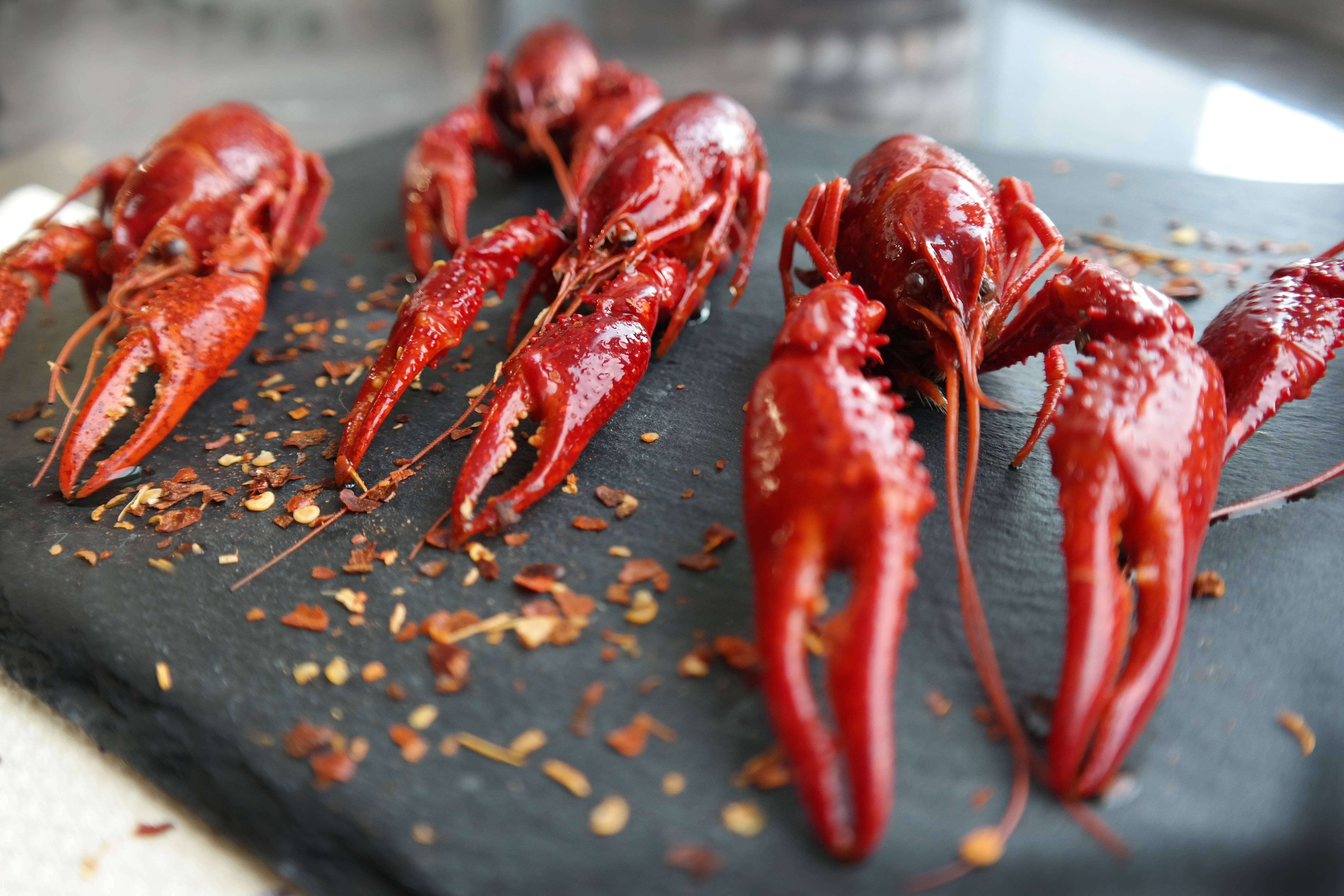 Crayfish, black rock, chopping board, 5K Desktop Wallpaper