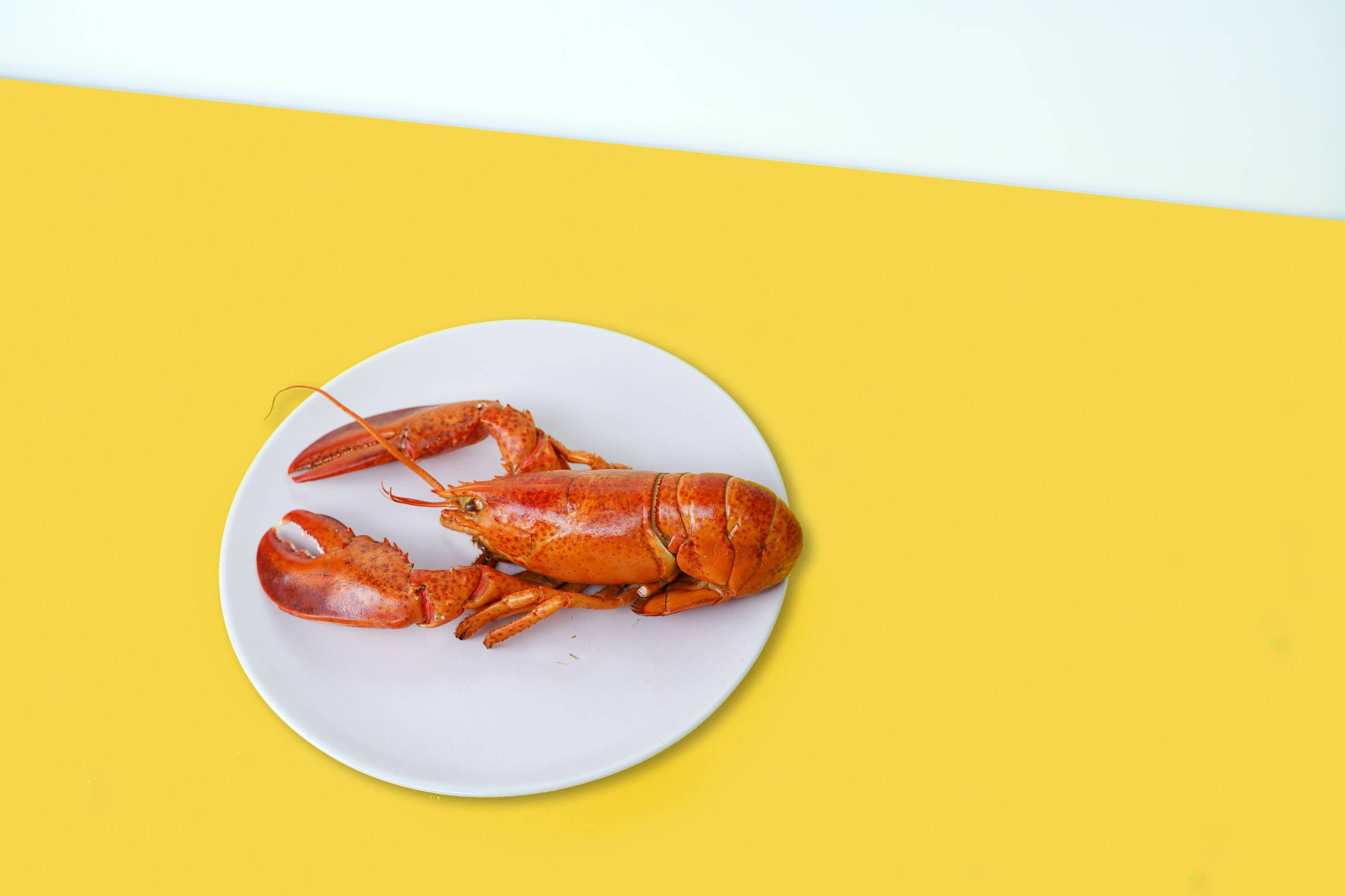 Crayfish, yellow table, red cooked lobster, Full HD Desktop Wallpaper